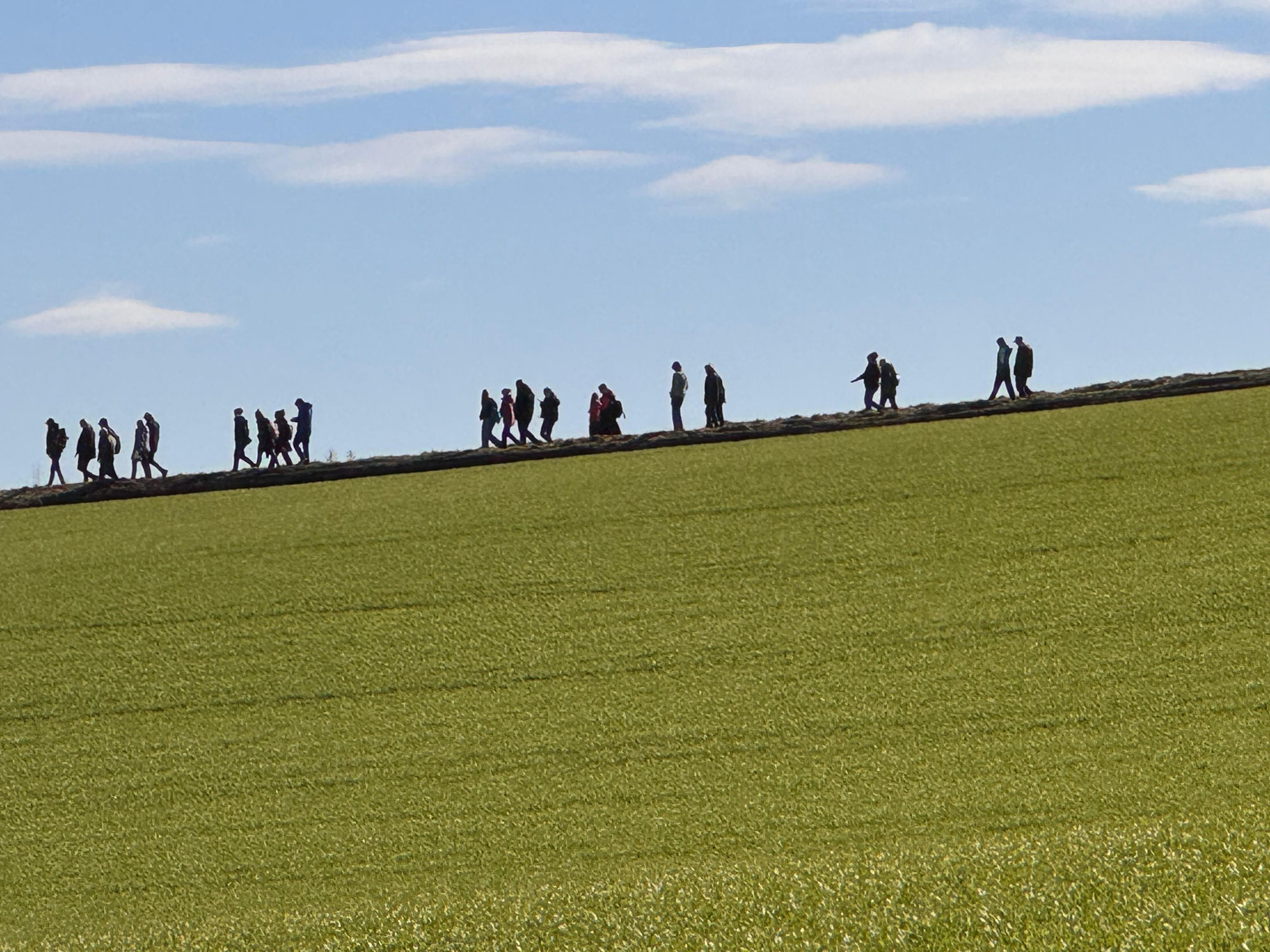 Grünkohlwanderung