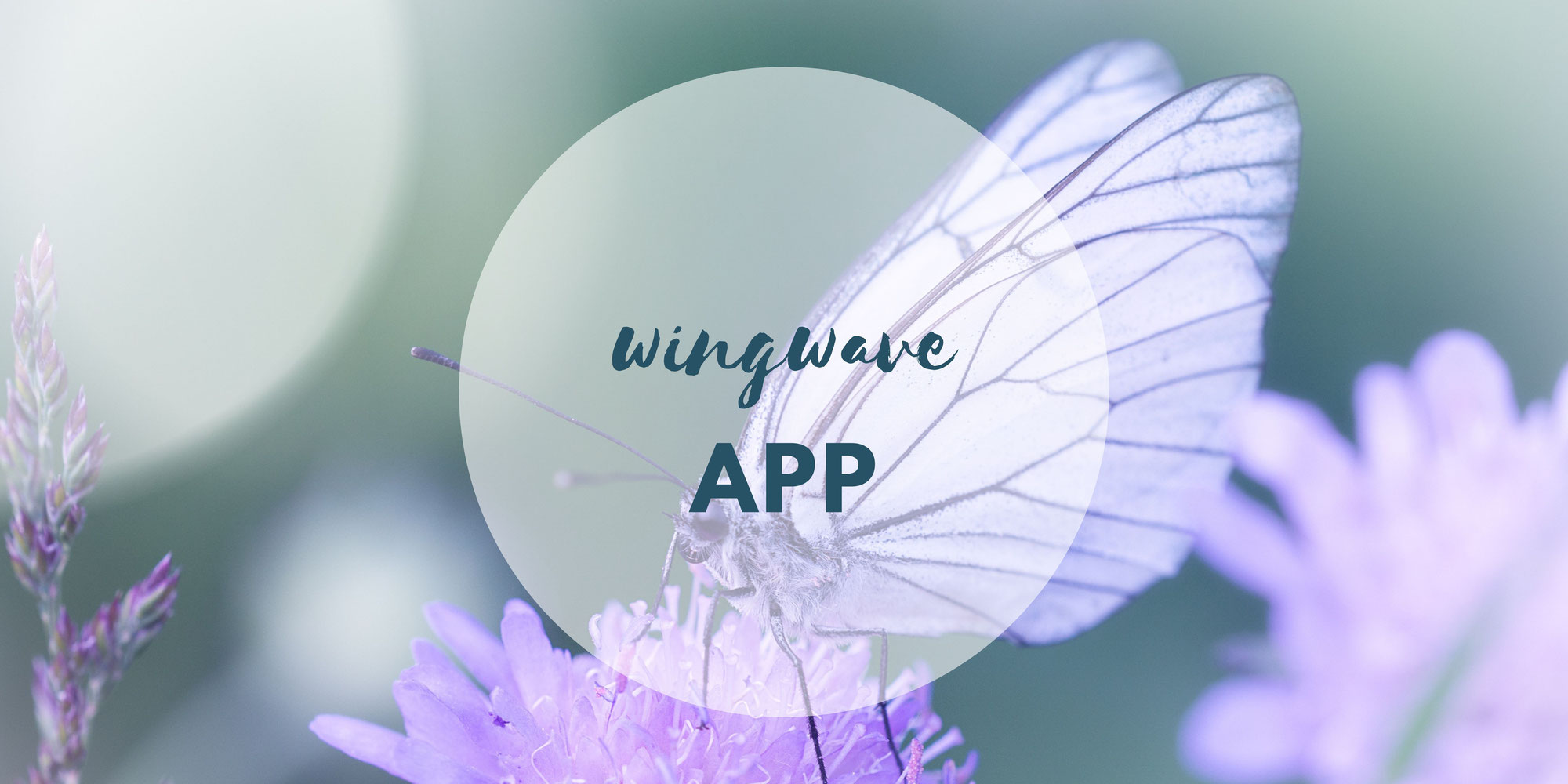 wingwave®-App