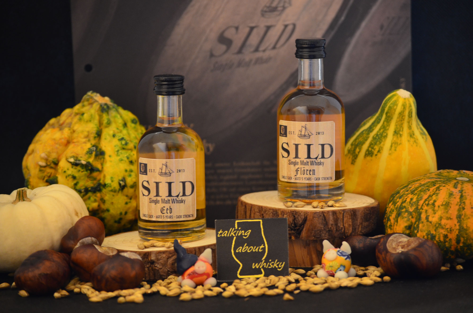 Mit der Kraft der Gezeiten - Ebbe und Flut bei SILD