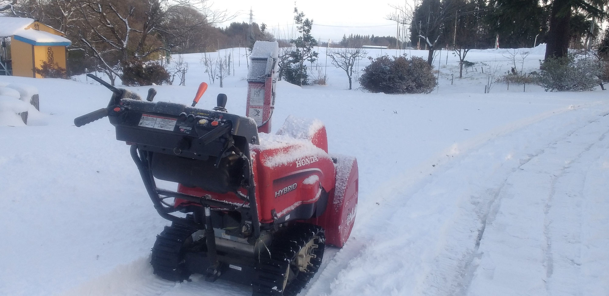 サブちゃんの吹雪