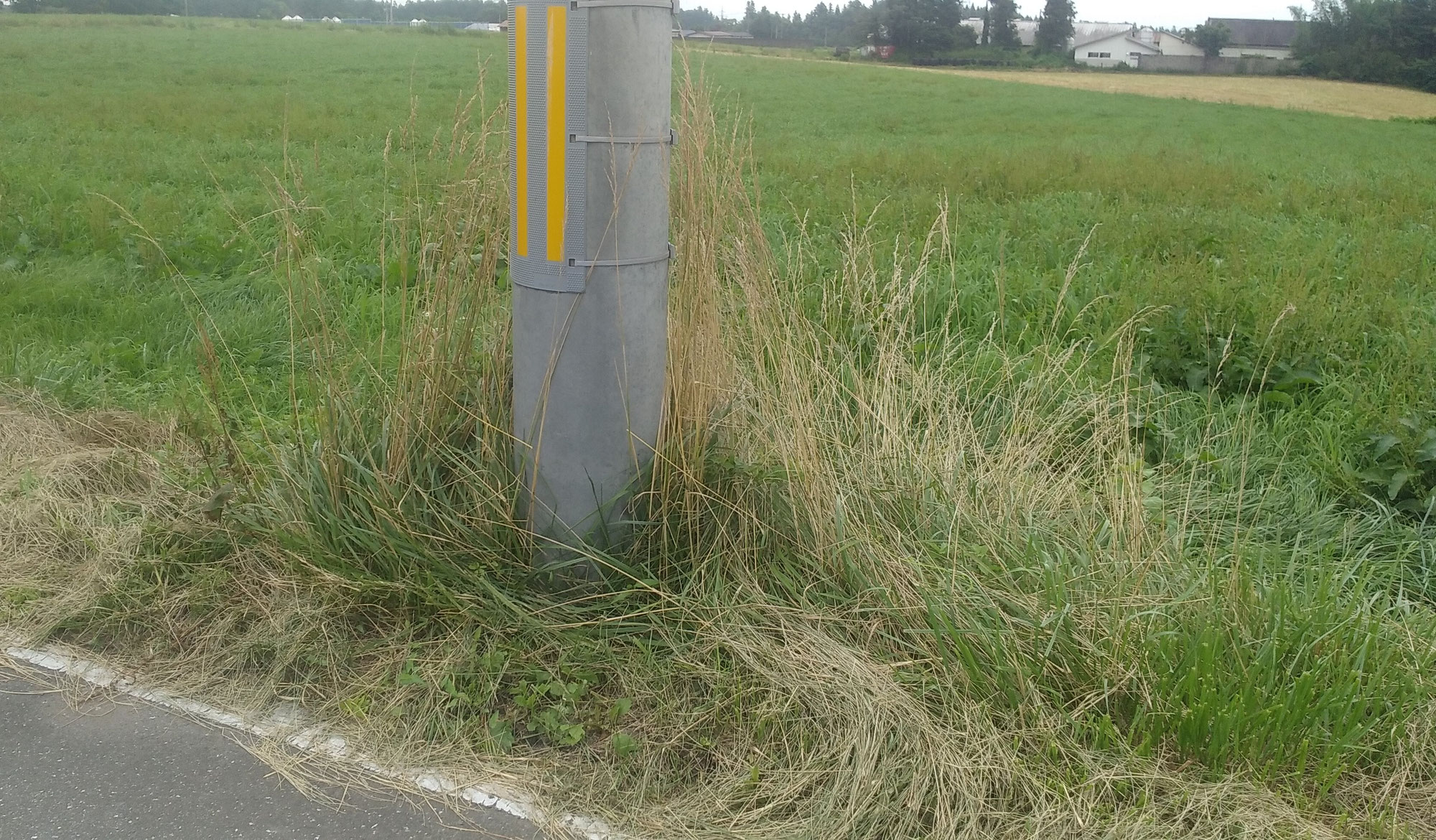 電柱周りの草刈り