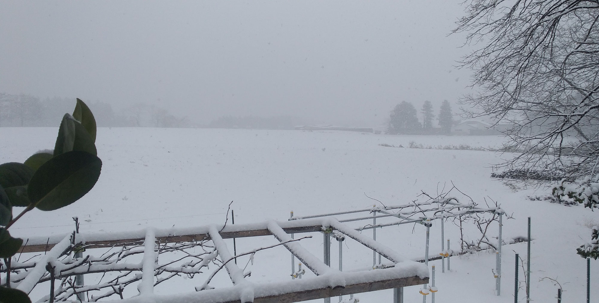 除雪の寒さ対策