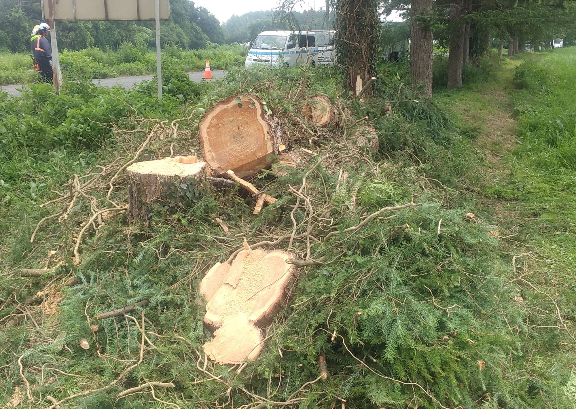 高所作業車