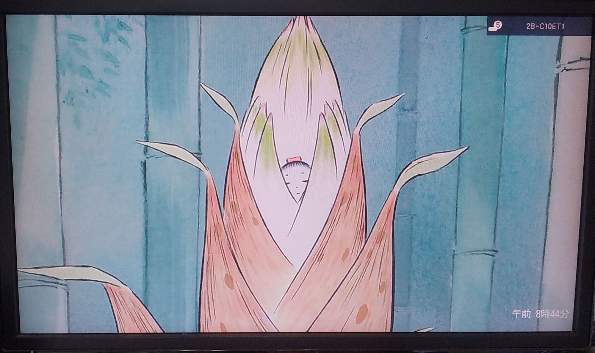 かぐや姫はタケノコから生まれた？