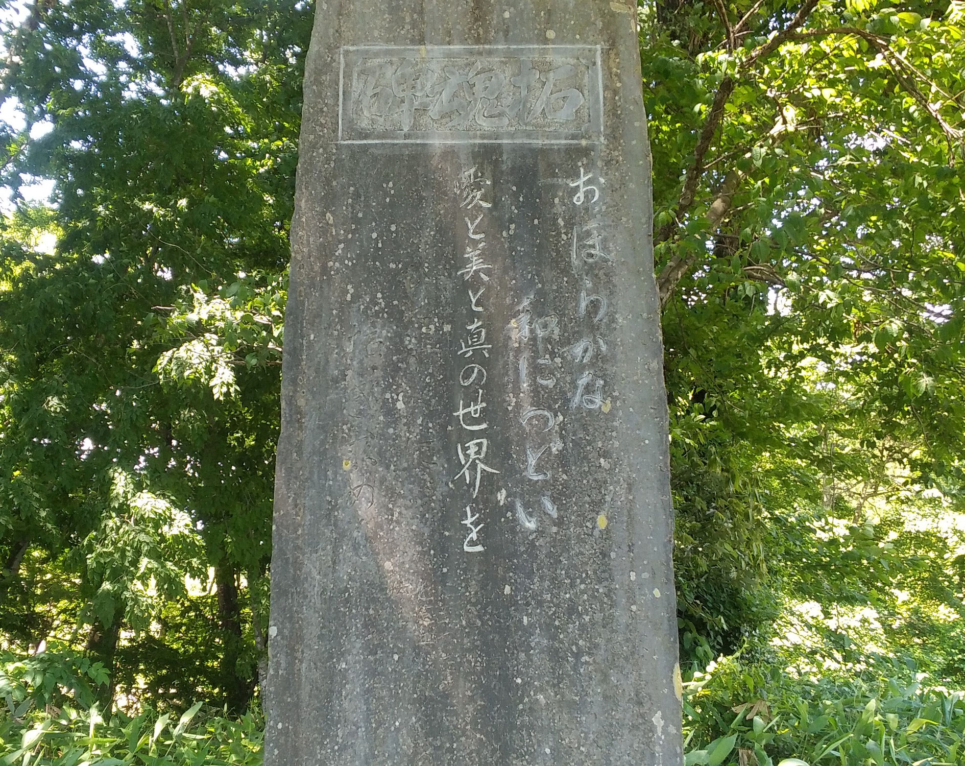碑文の苔落とし
