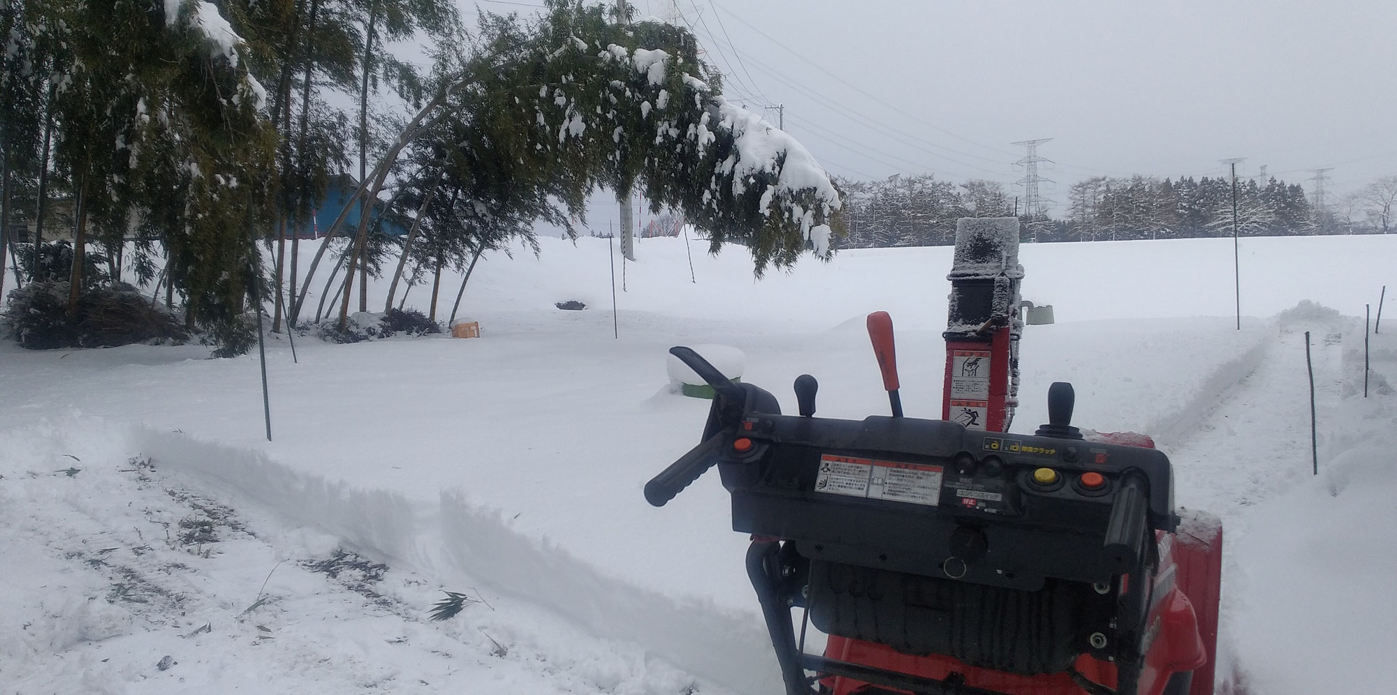 まだかわいいレベル？