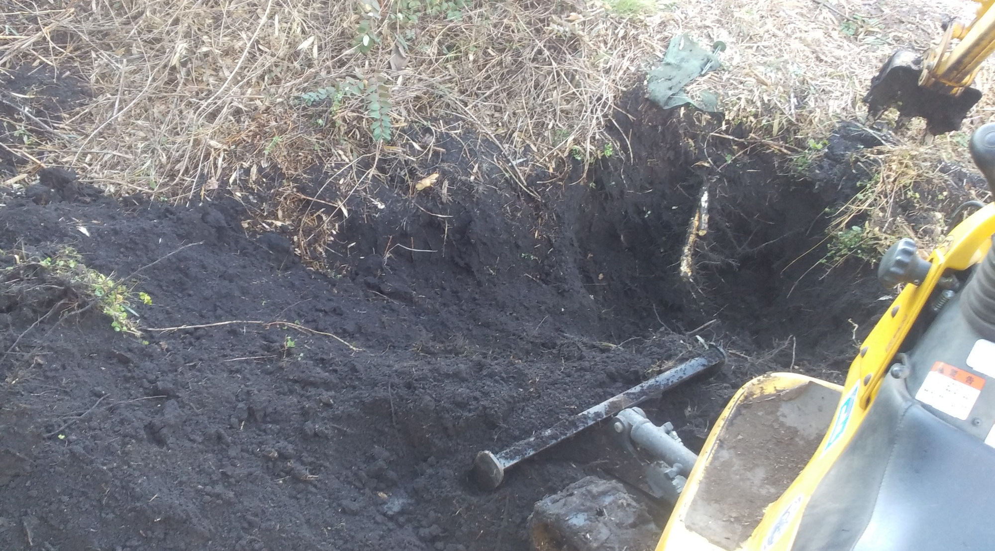 竹の枝穂の始末