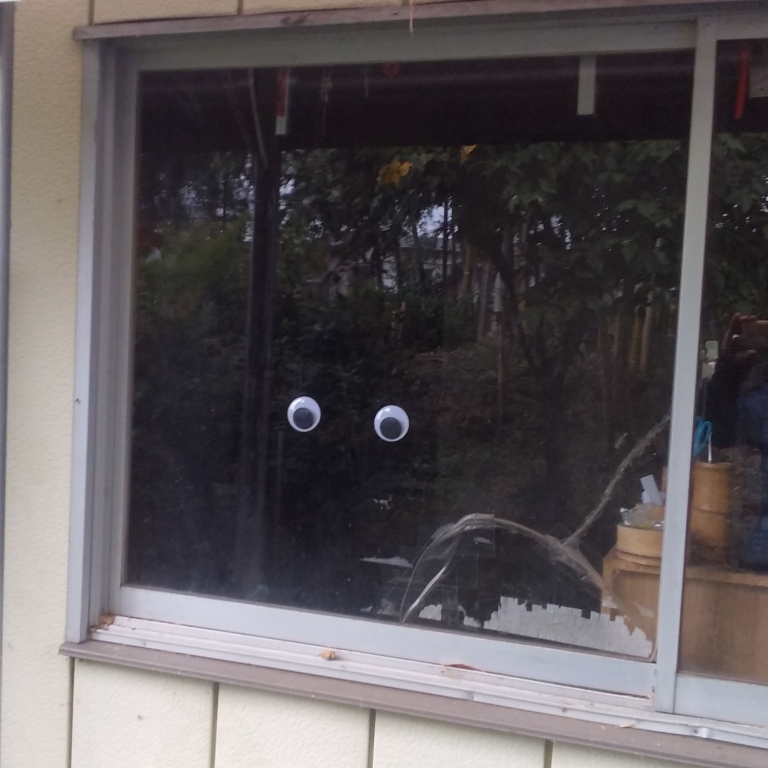 「目」で熊対策