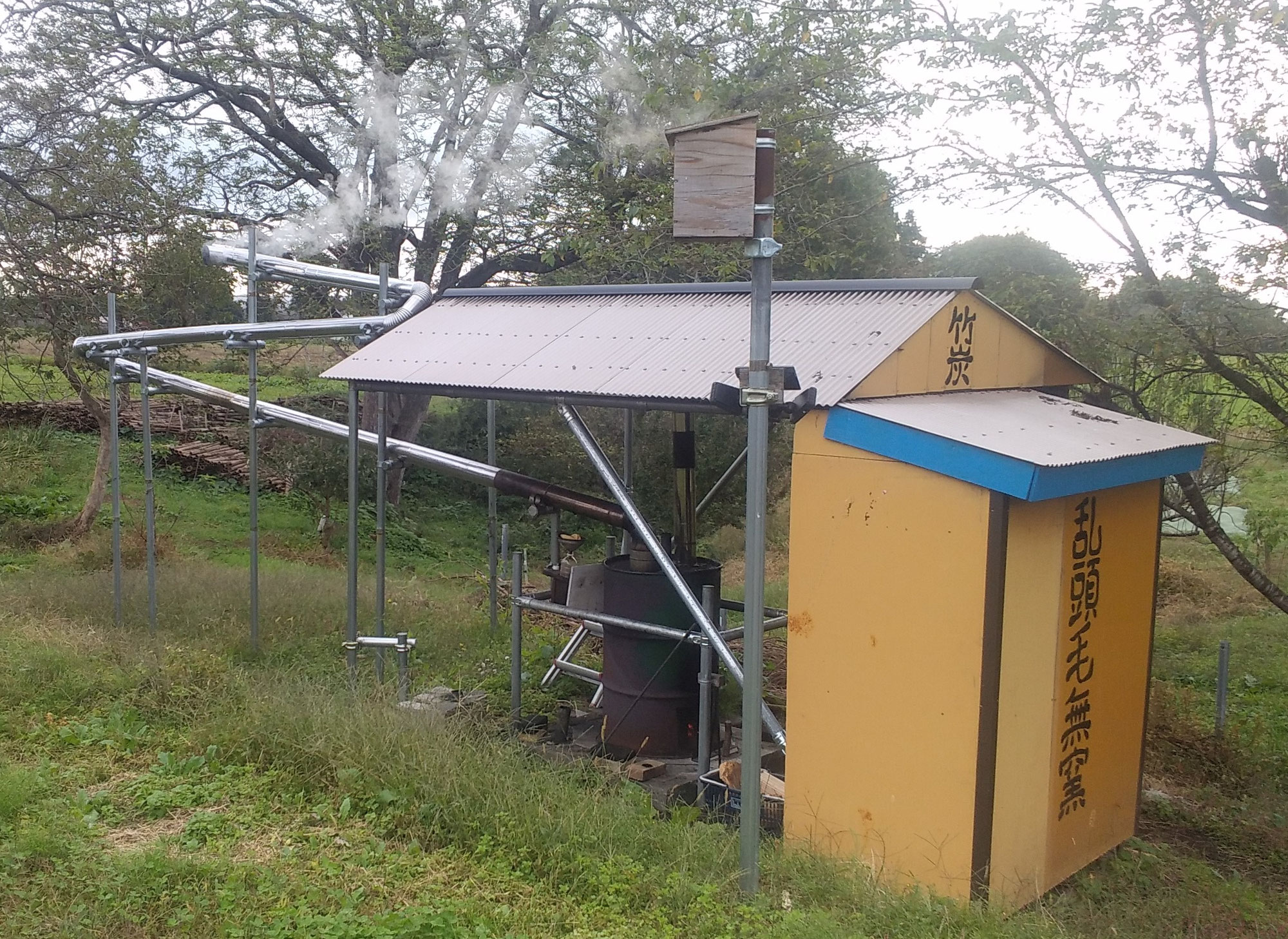 竹炭とサツマイモ