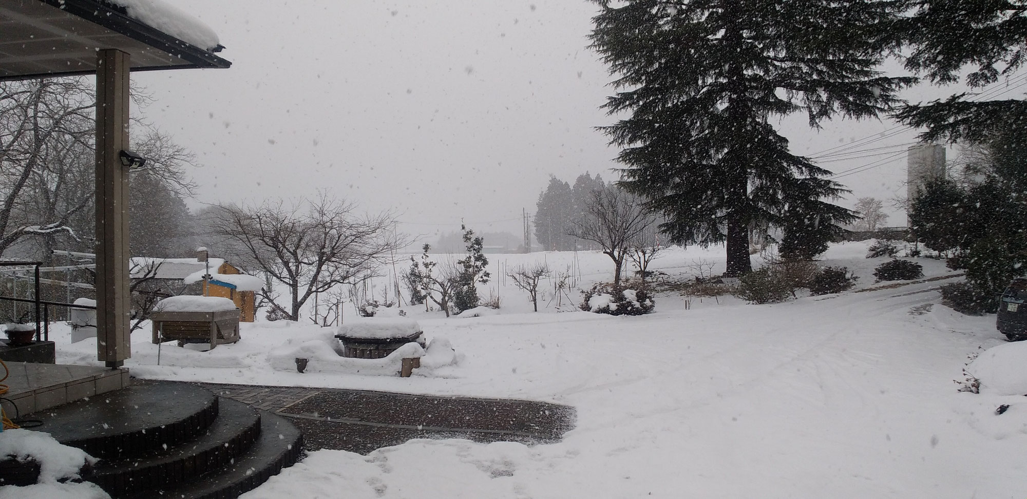 なめたらいかんぜよ