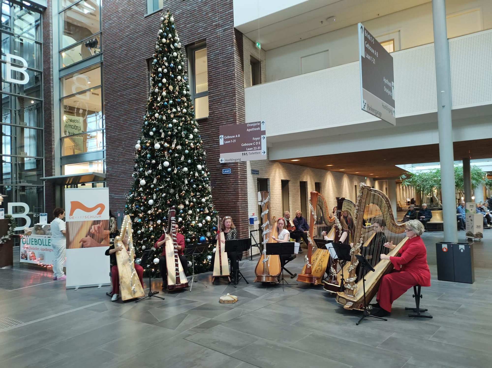 Harpy Christmas in Meander MC