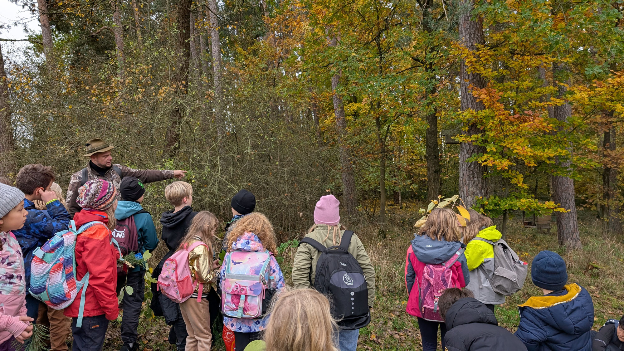 Ein erlebnisreicher Tag im Wald – Die 3. Klassen der Grundschule Lichtenau auf Entdeckungstour