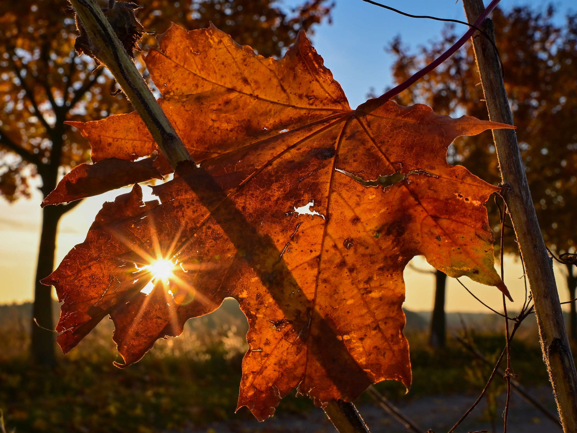 Betriebsferien Herbst 2025