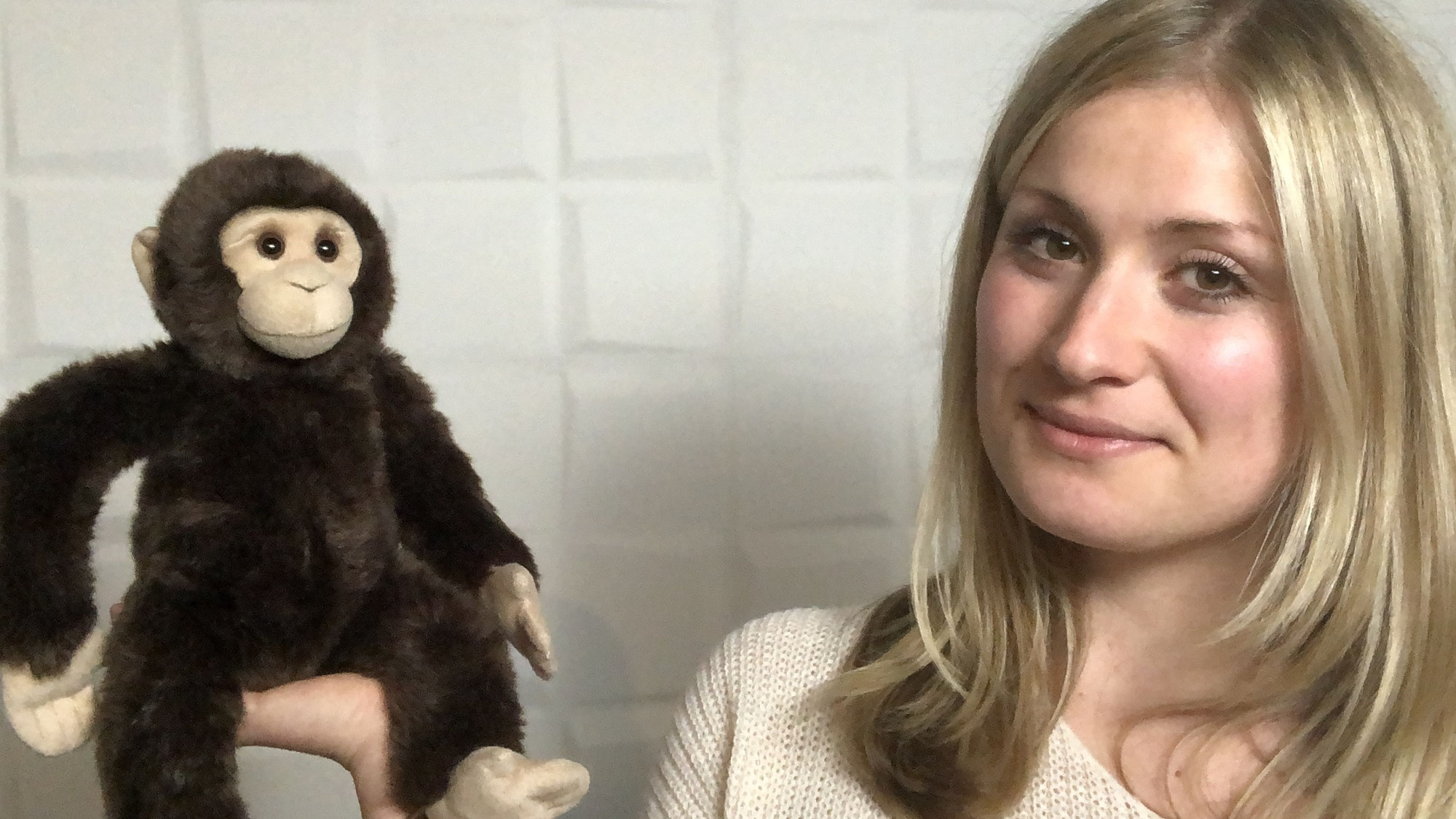 Interview mit einem ehemaligen Flying Monkey