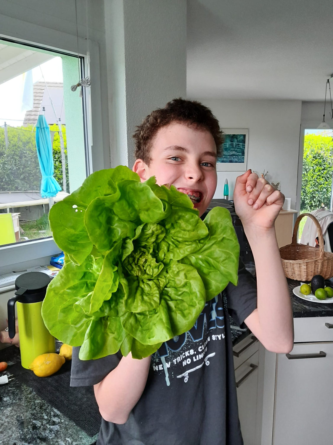 Meine Kopfsalaternte