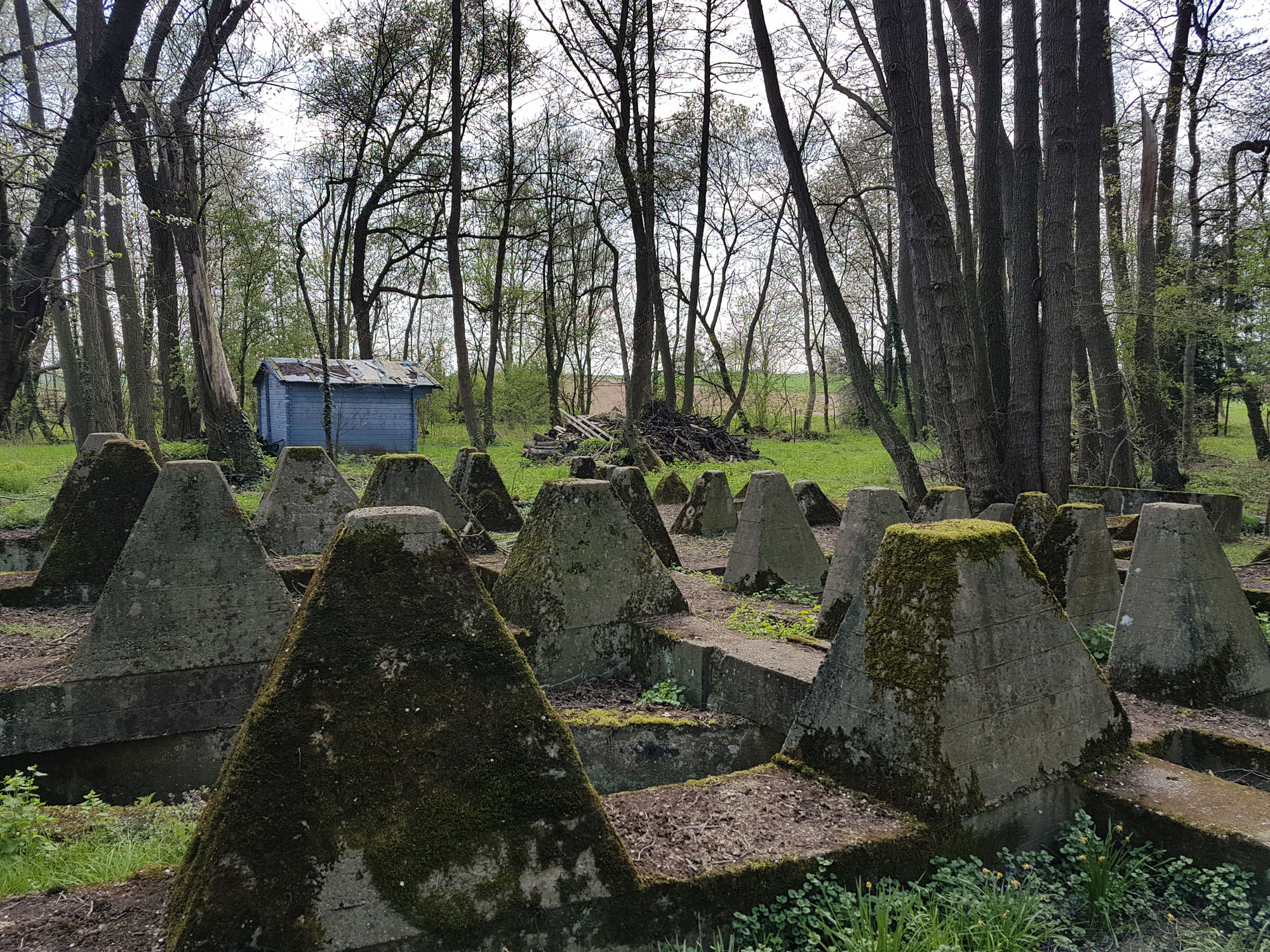 Westwall Höckerlinie bei Niederotterbach