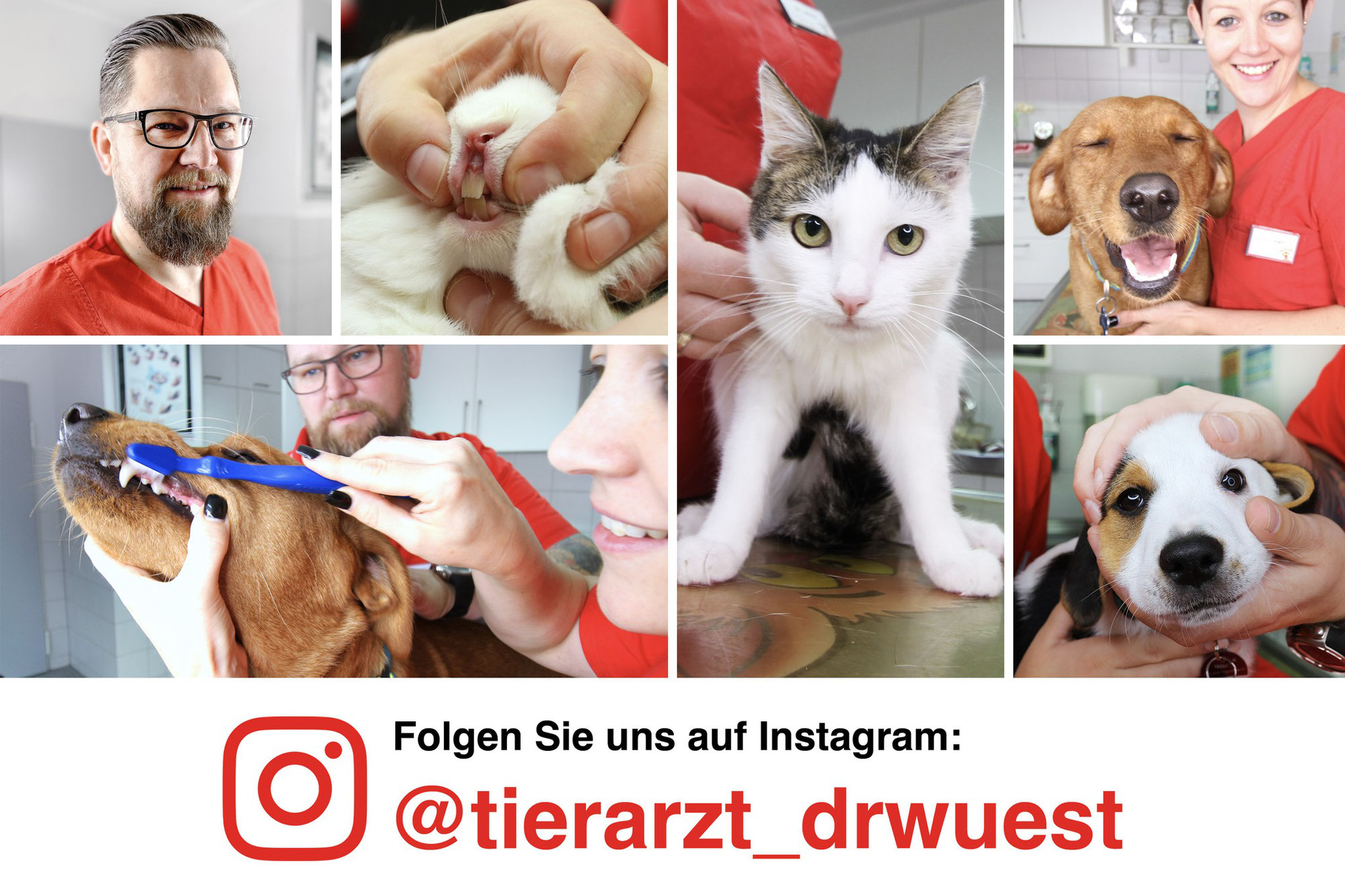 INSTAGRAM_Wir kommen ;-)