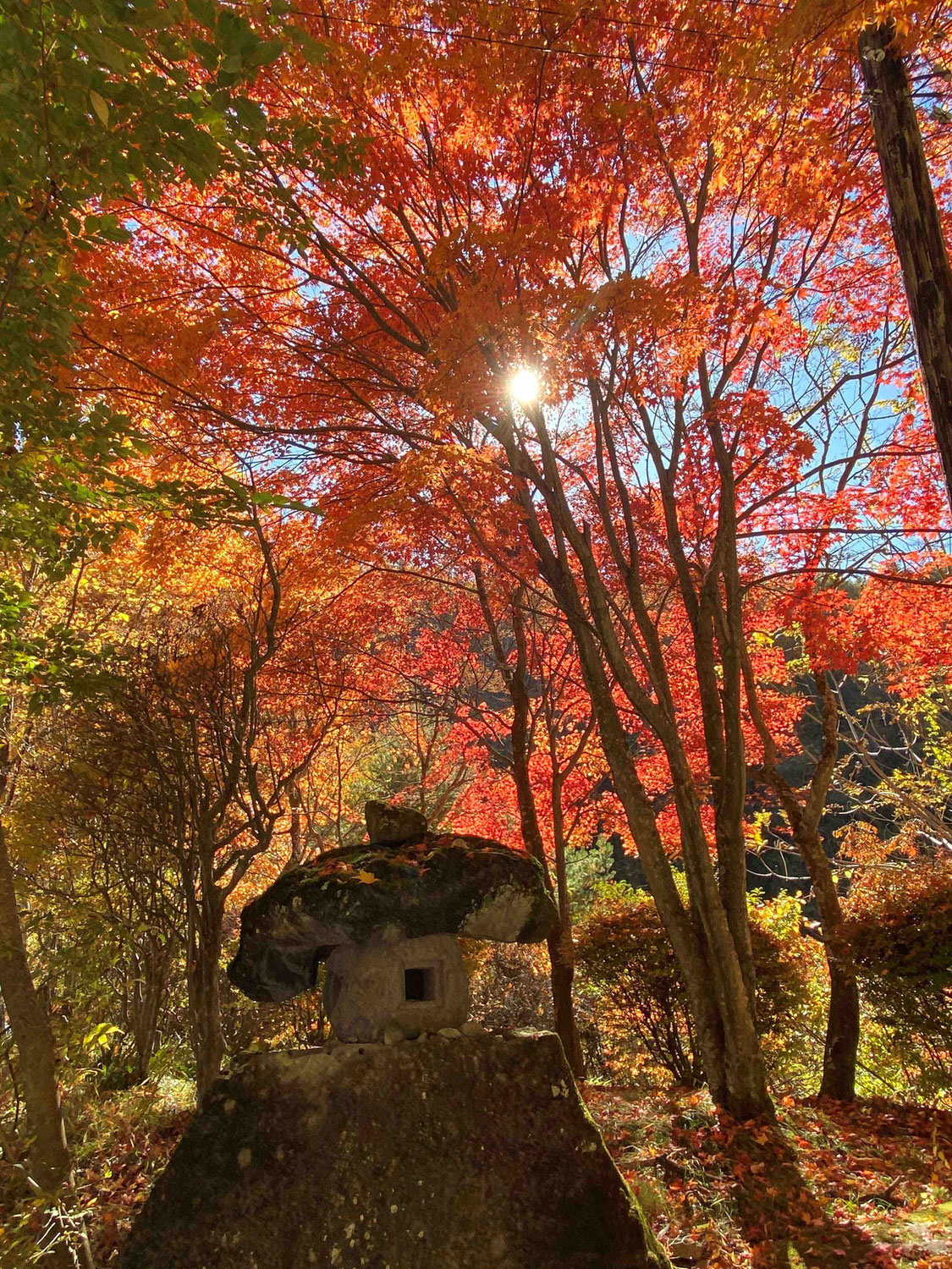 「私」という旅