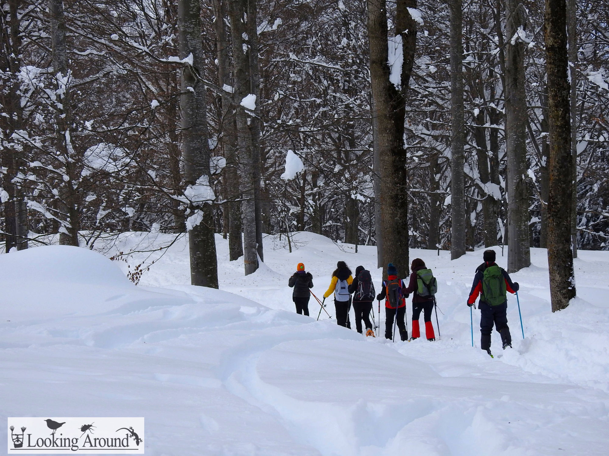 SICUREZZA SULLE RACCHETTE DA NEVE - 4.0