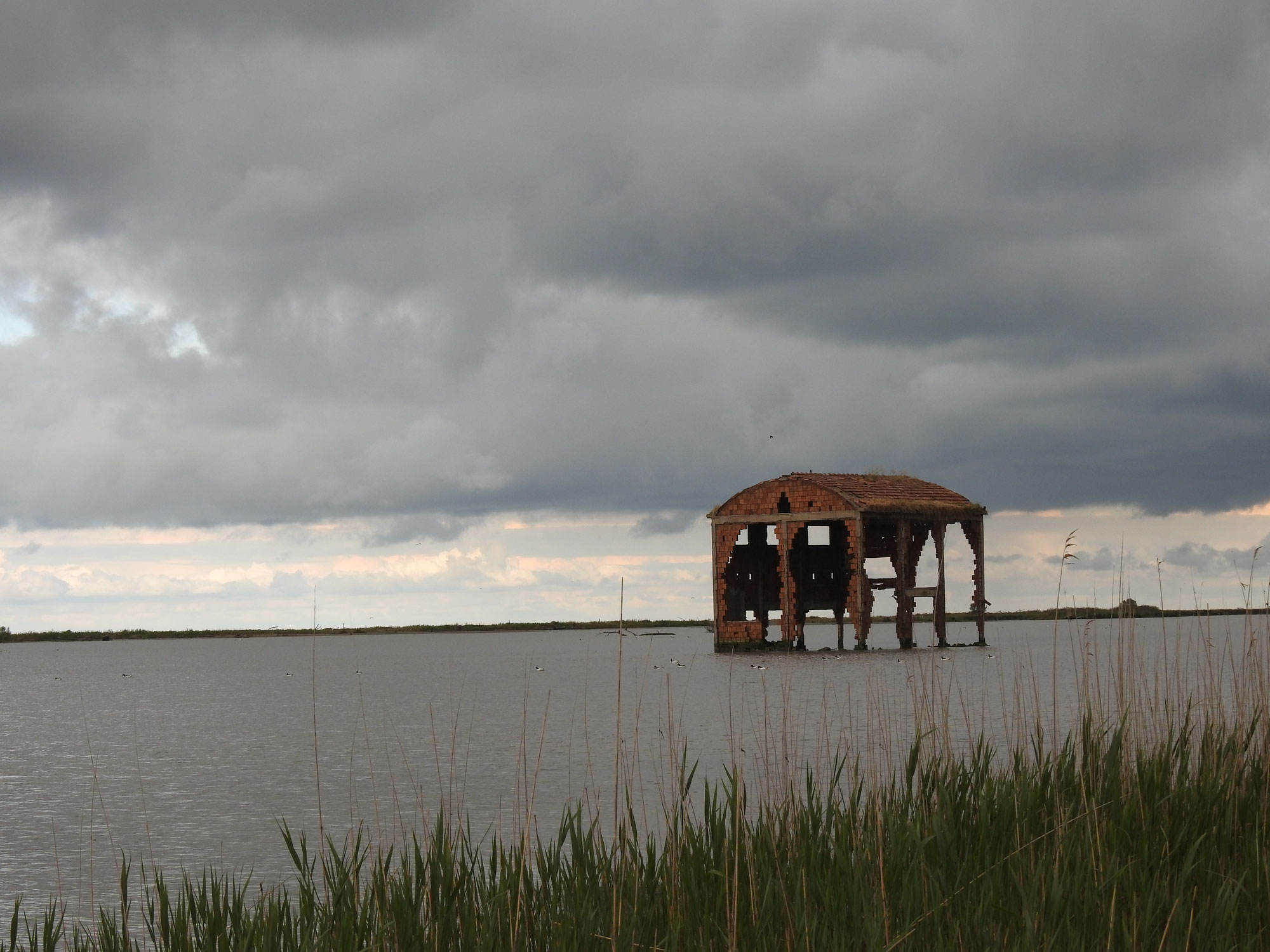 NEL DELTA DEL PO
