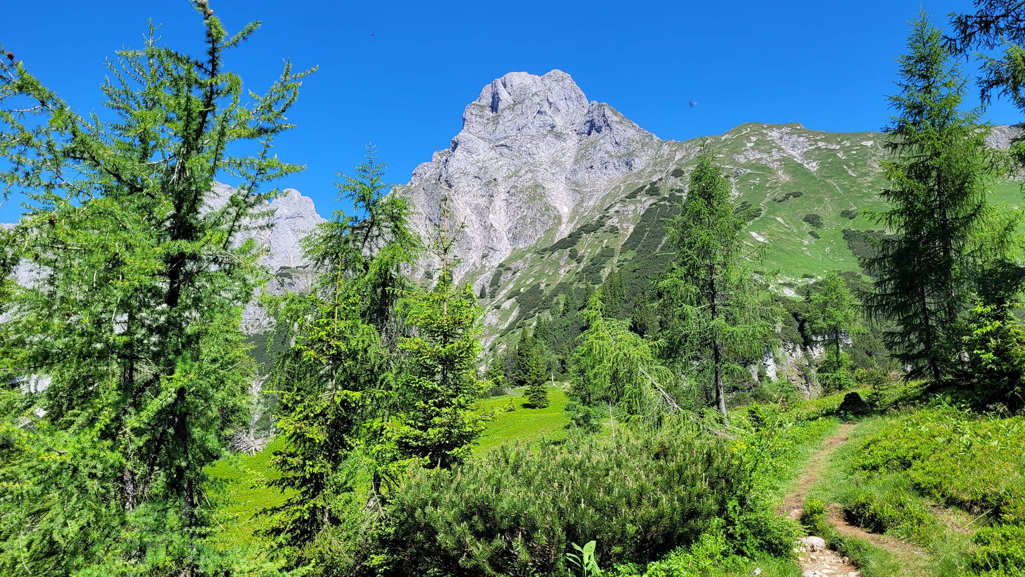 Mödlinger Hütte in Johnsbach