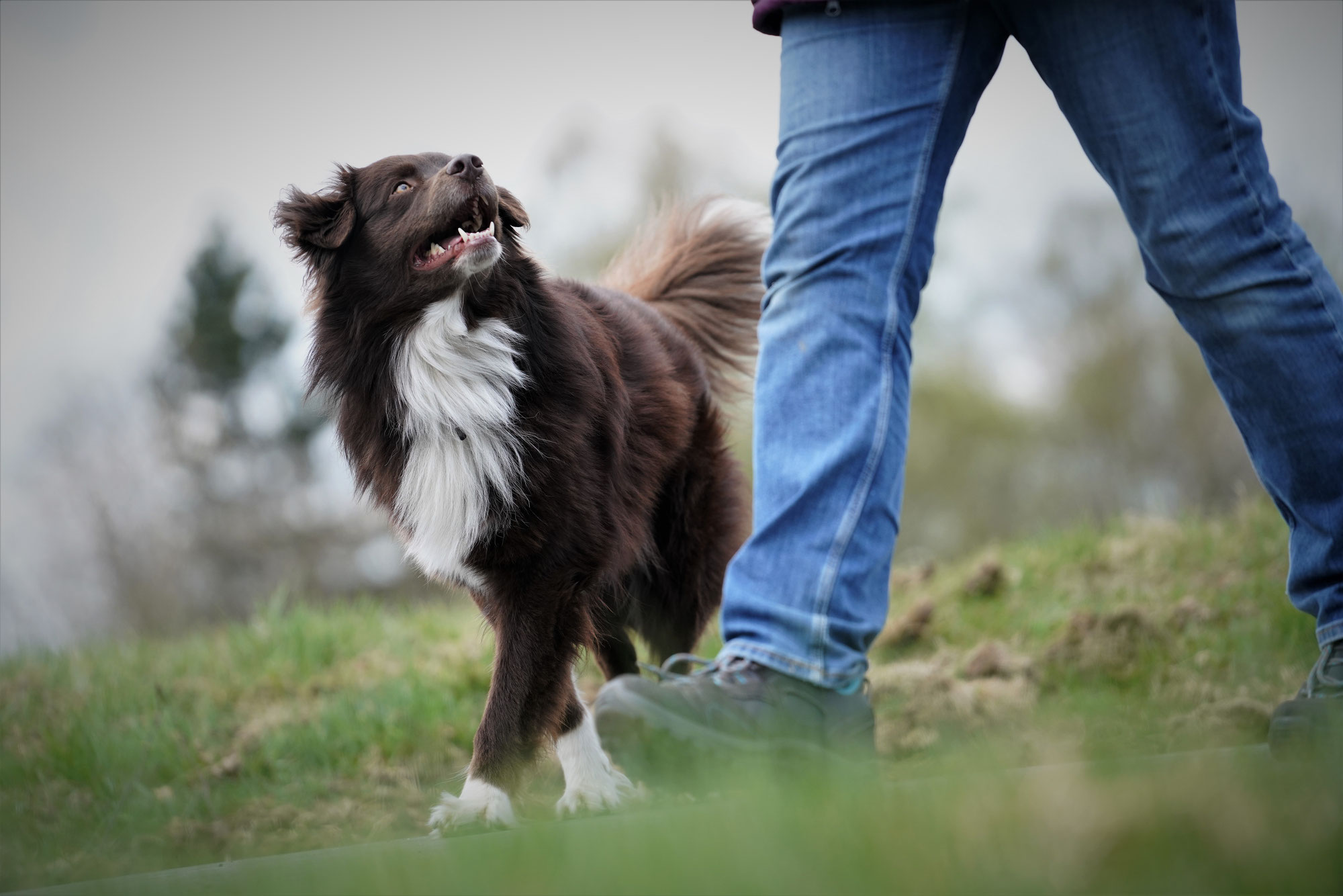 Warum ergänzen sich Erziehung und Beschäftigung?