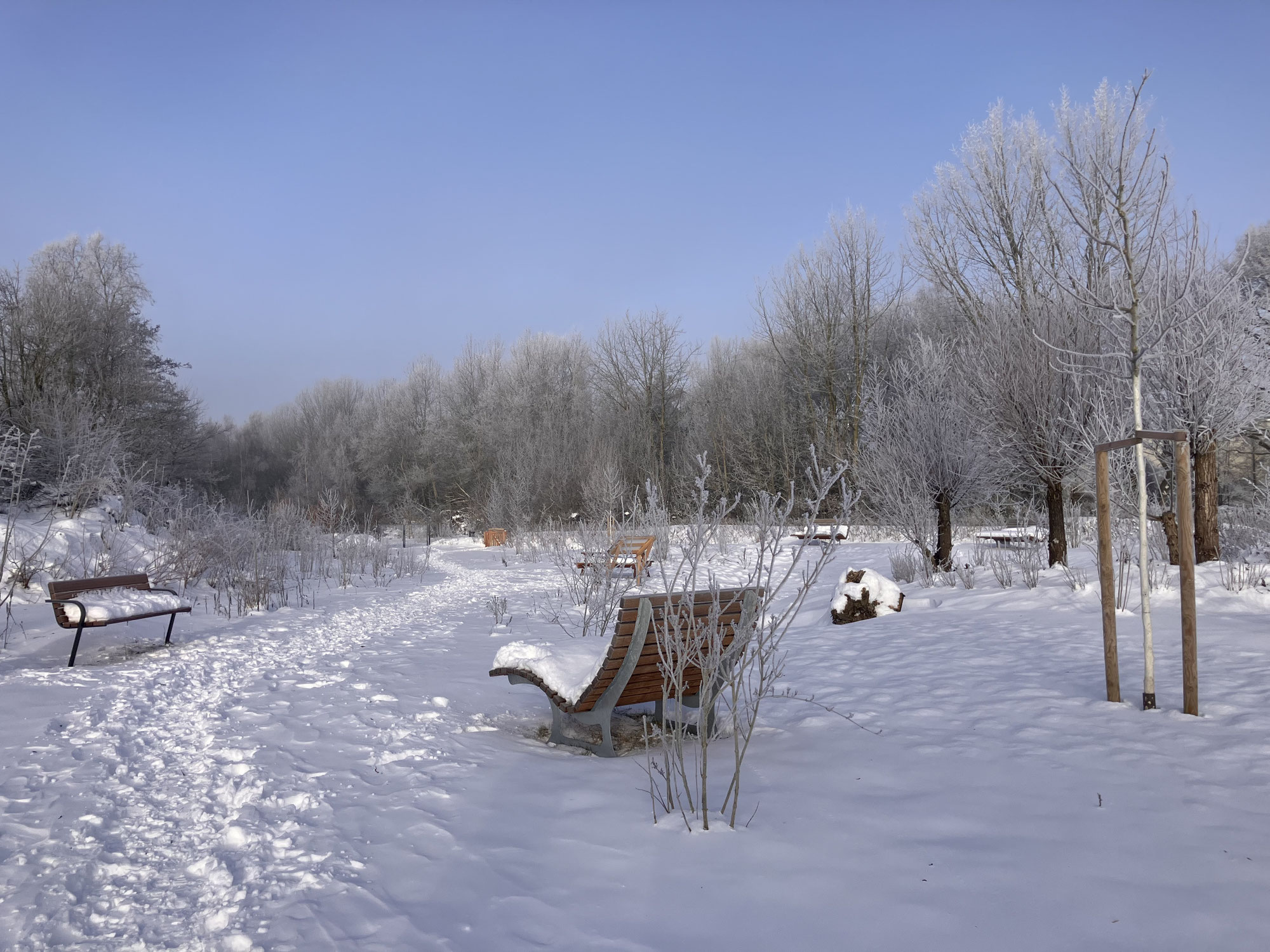 Stunde der Wintervögel im Lüttje Park