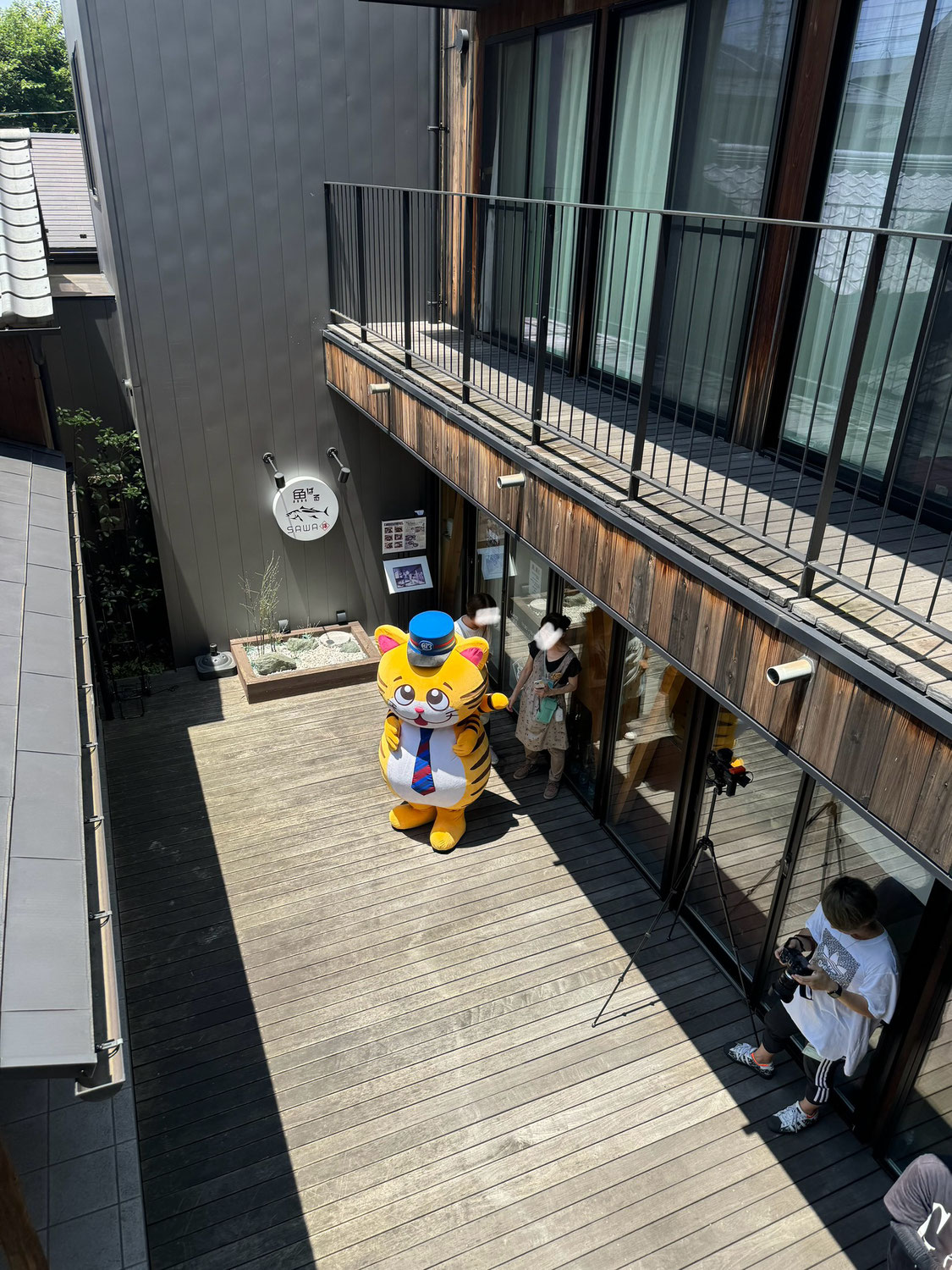 実はお手伝いしてました。
