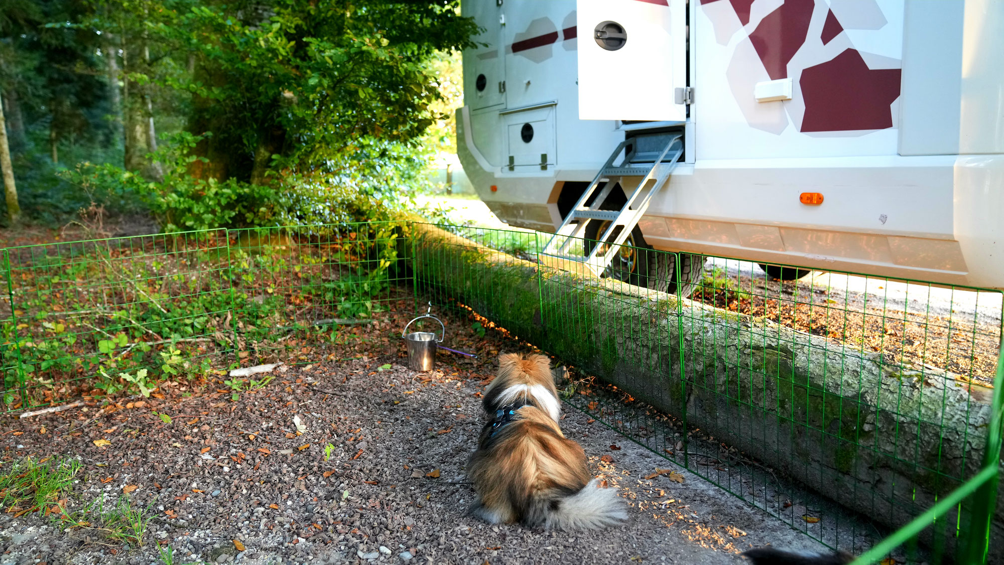 Mit dem Wohnmobil unterwegs für und mit dem SSSC (Schweizer Shetland Sheepdog Club)