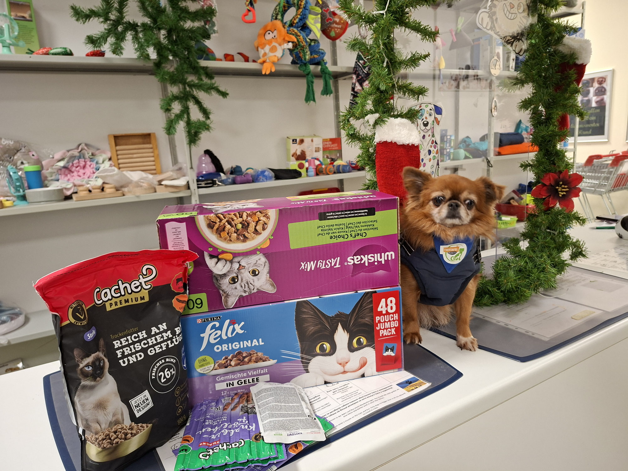 70 liebevoll genähte Fleece Decken und ganz viel Futter