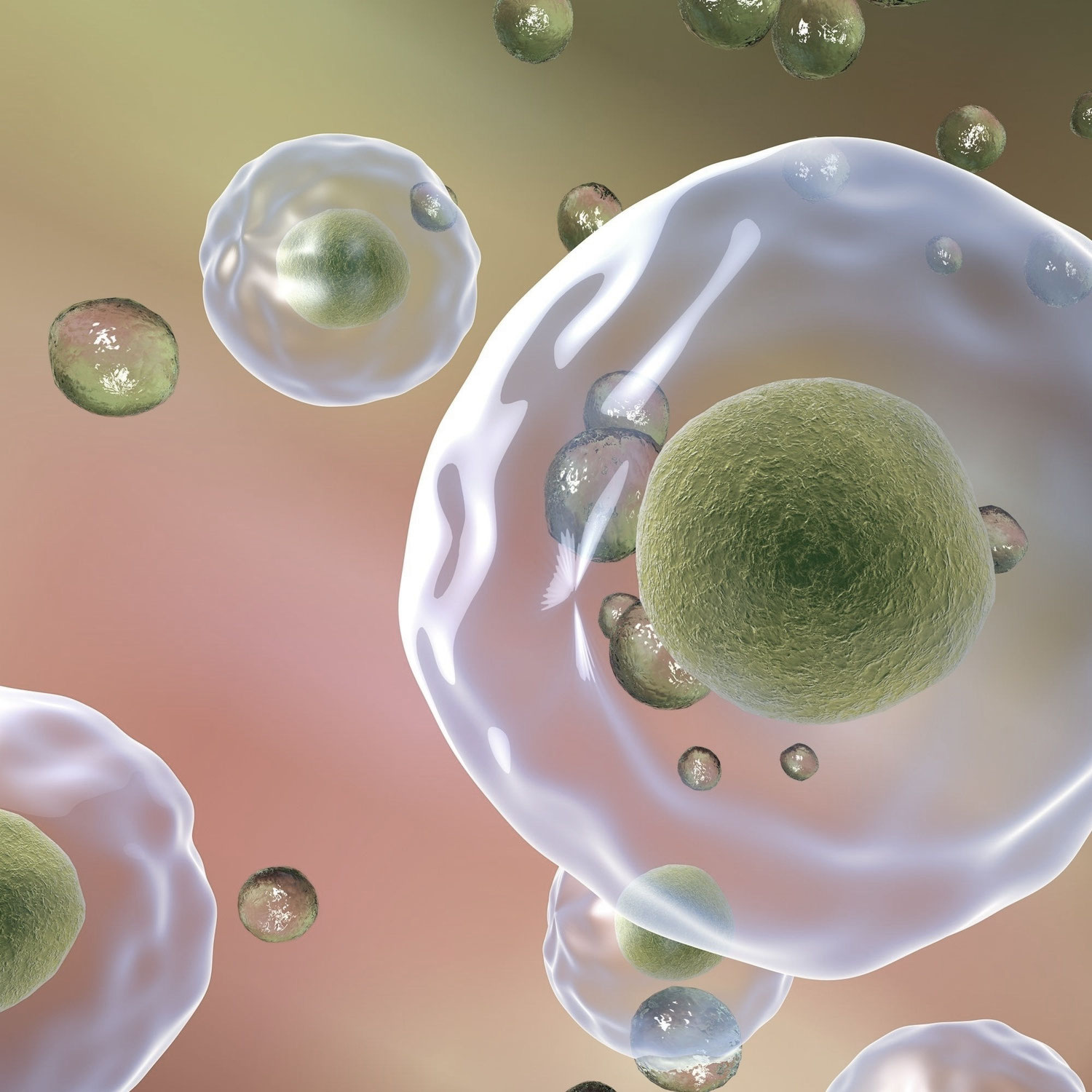 Matrix-Rhytmus-Therapie: Regeneration auf Zellebene mit gesunden Schwingungen