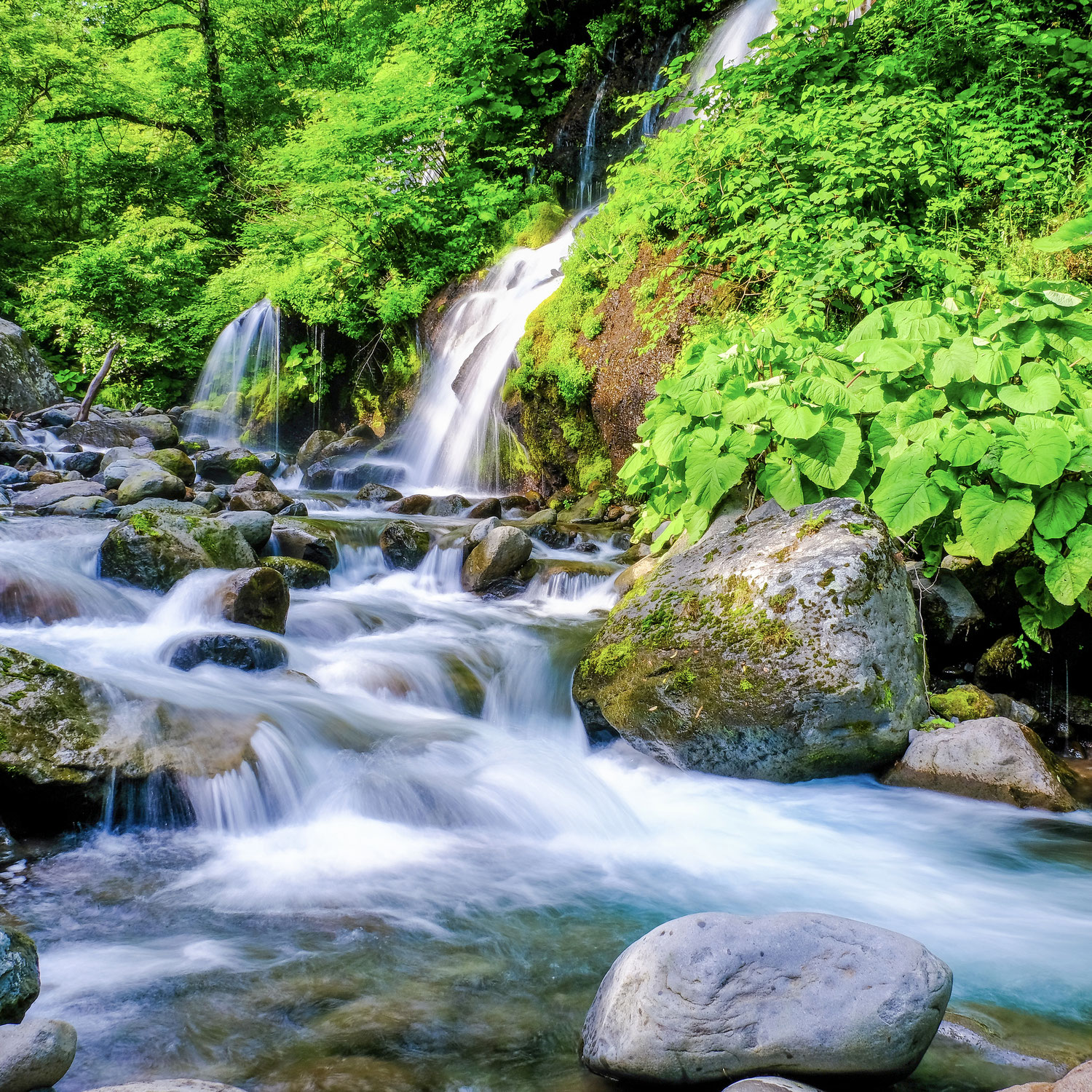 Welches Wasser ist gesund für uns?