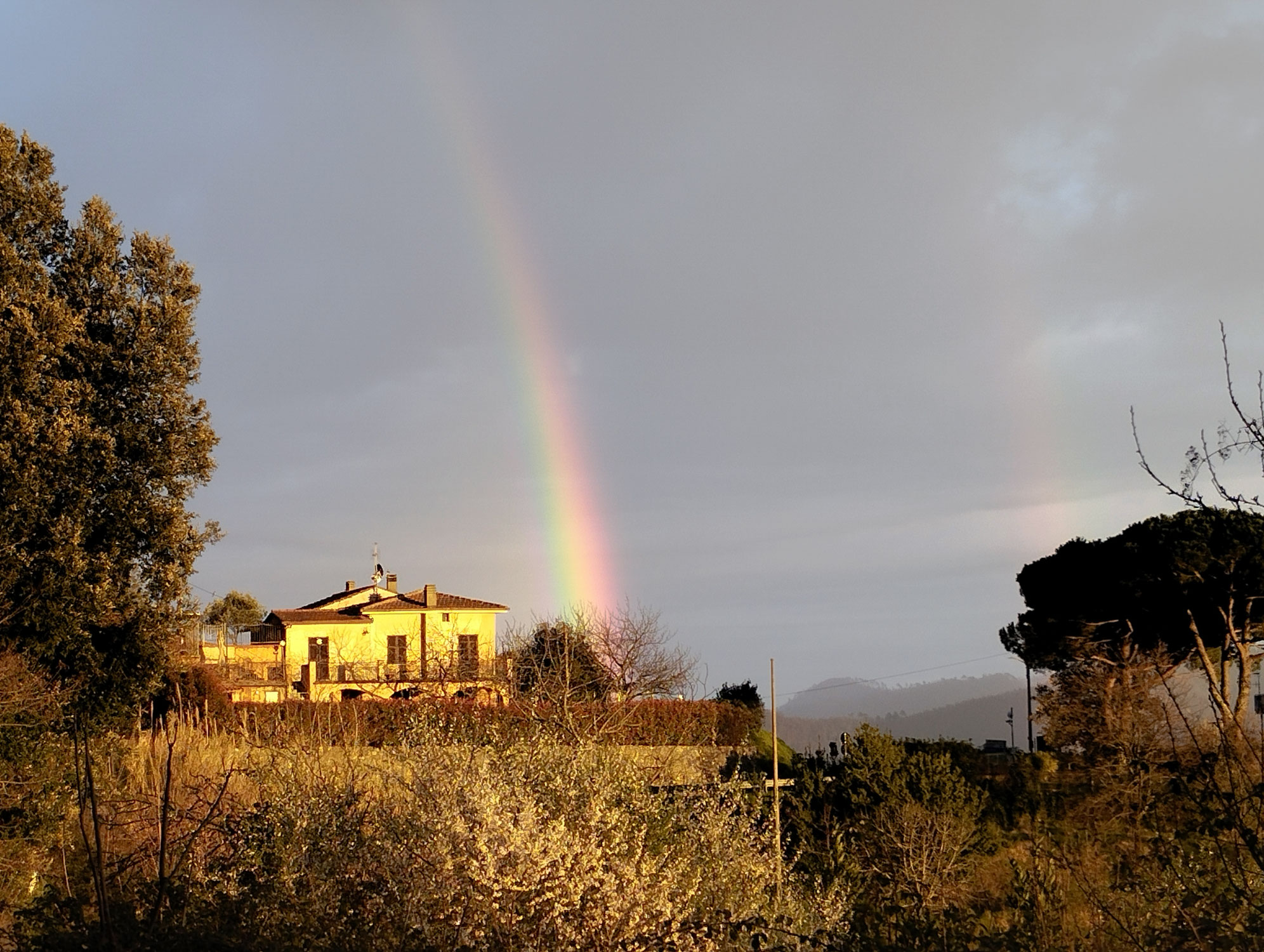 LA LUCE CHE CURA