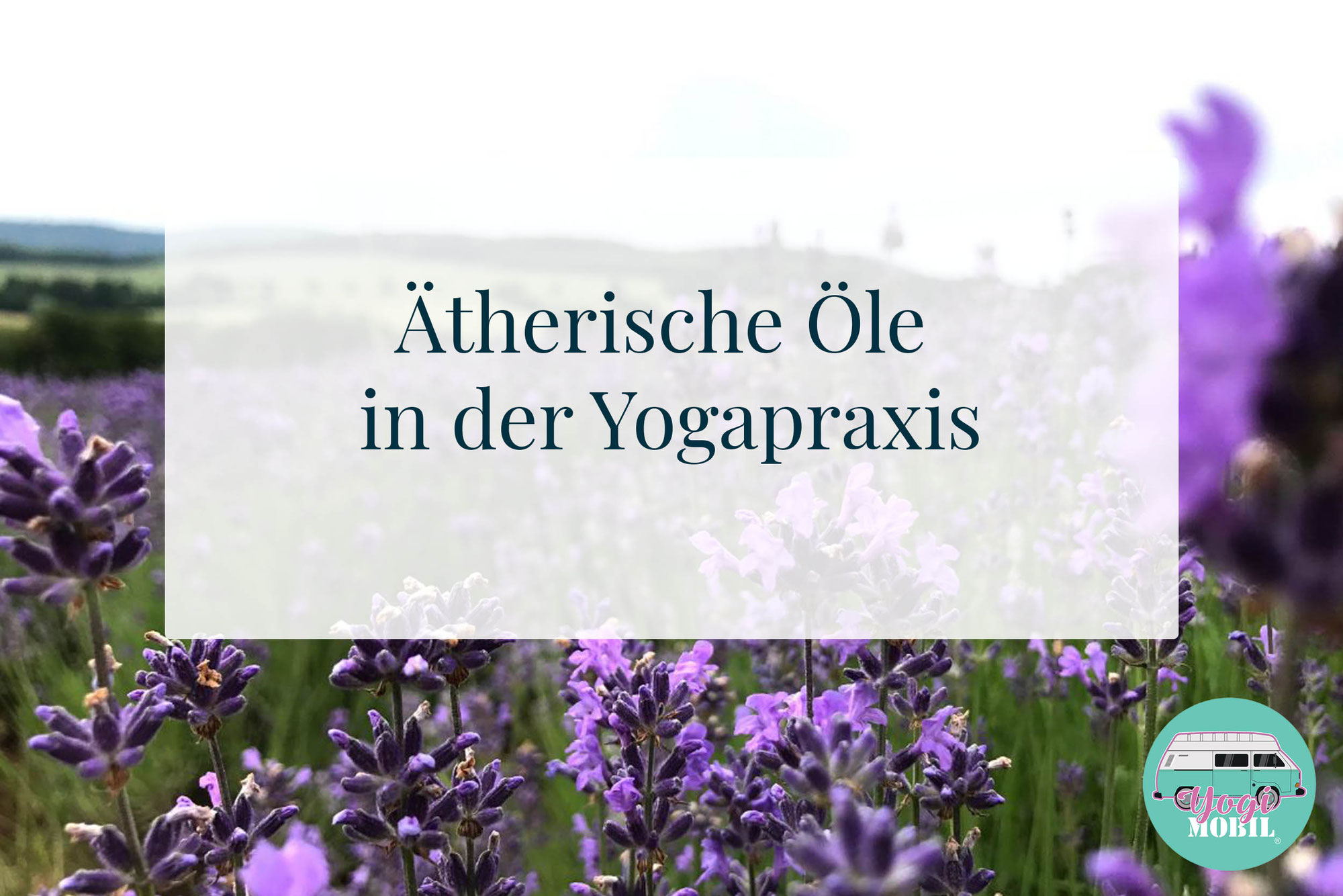 Ätherische Öle in der Yogapraxis