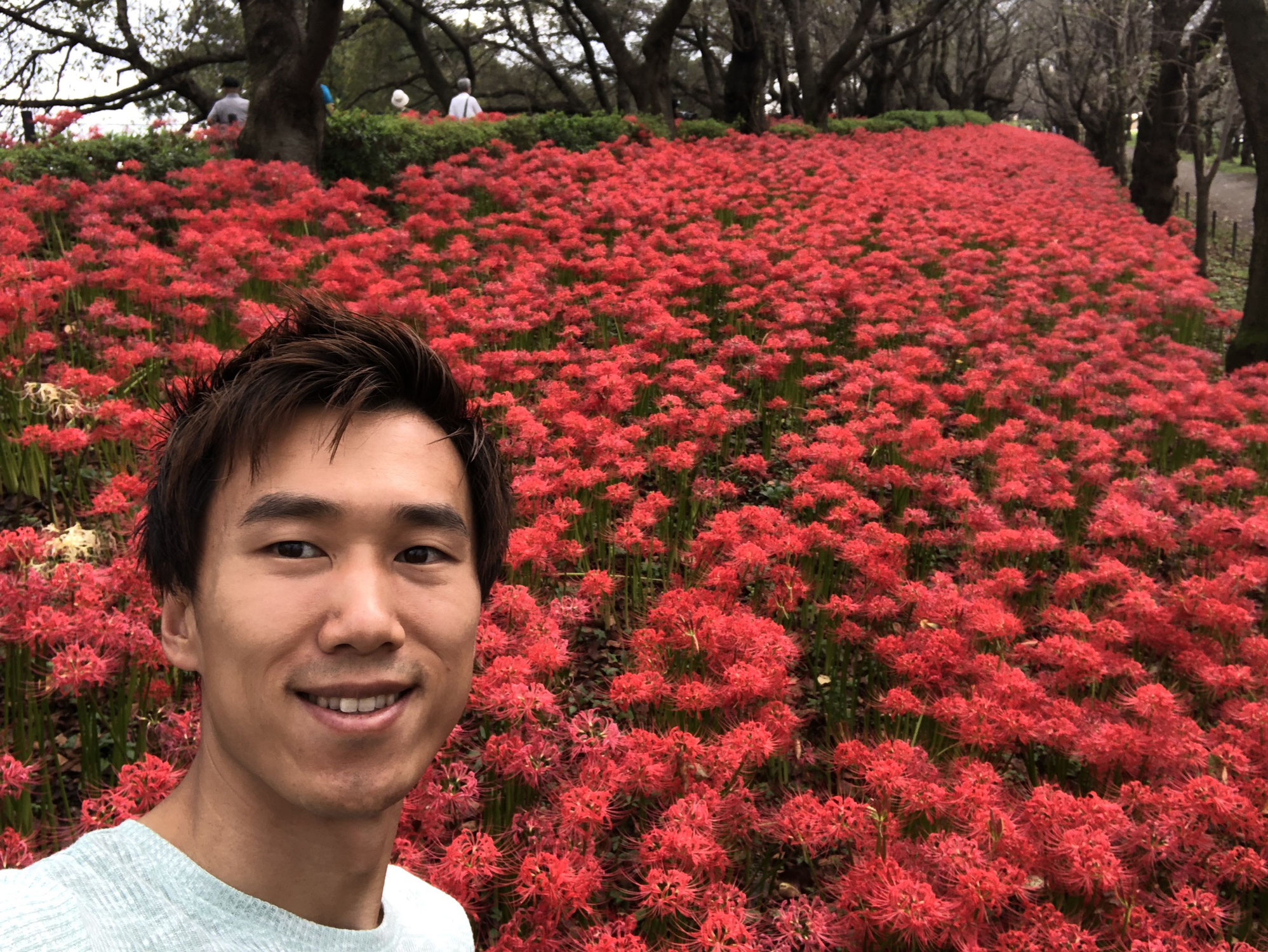 じゅん散歩＃37「関宿城と権現堂曼珠沙華祭り