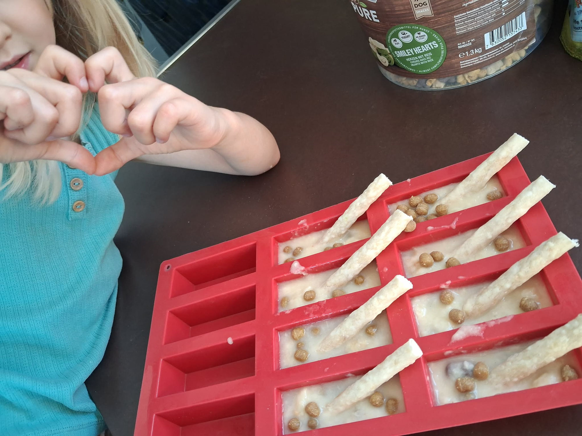 Glaces aux fruits