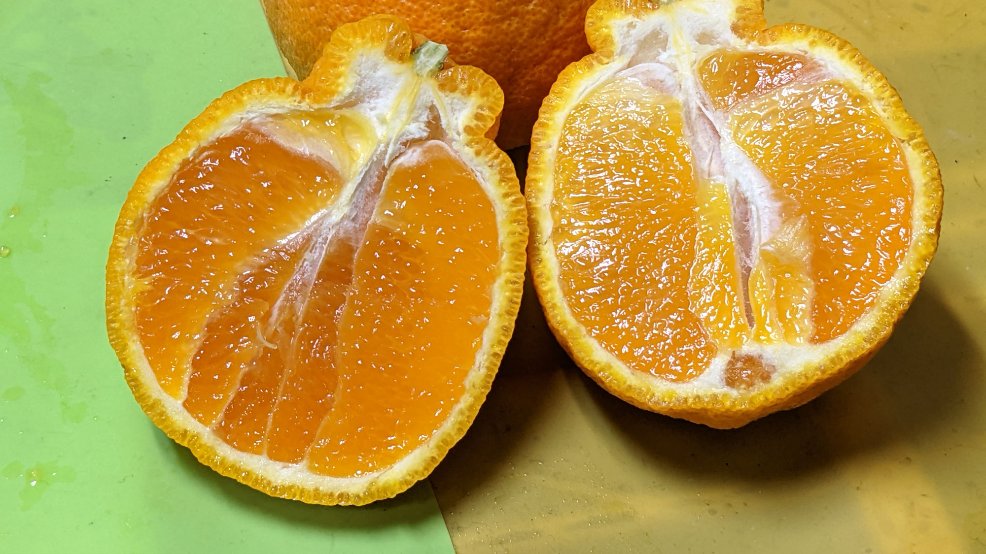 “味香デコ”は、今が熟期！！食べていただきたくて、値下げ。