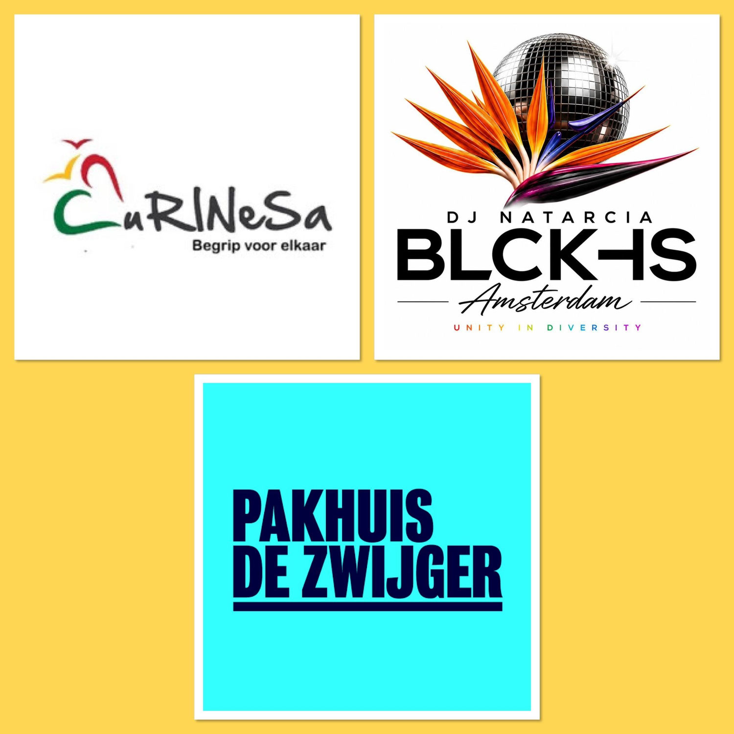 Curinesa&BLKHS Amsterdam Arts Event, Unity in Diversity