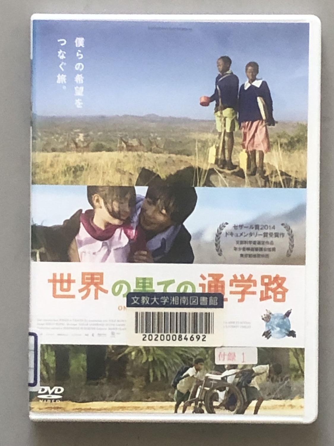 英語専修との合同映画会