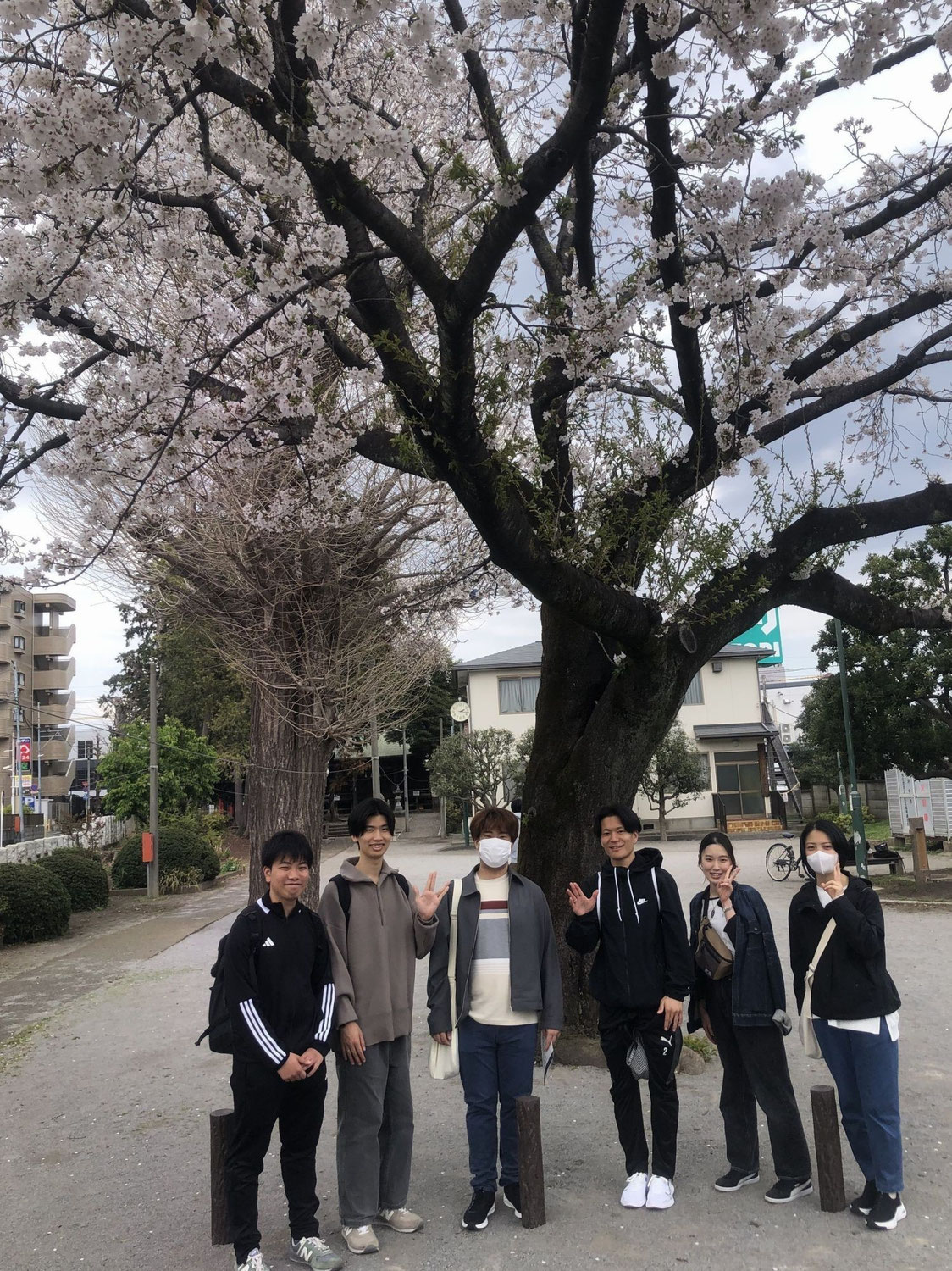甲州街道を歩く　その２