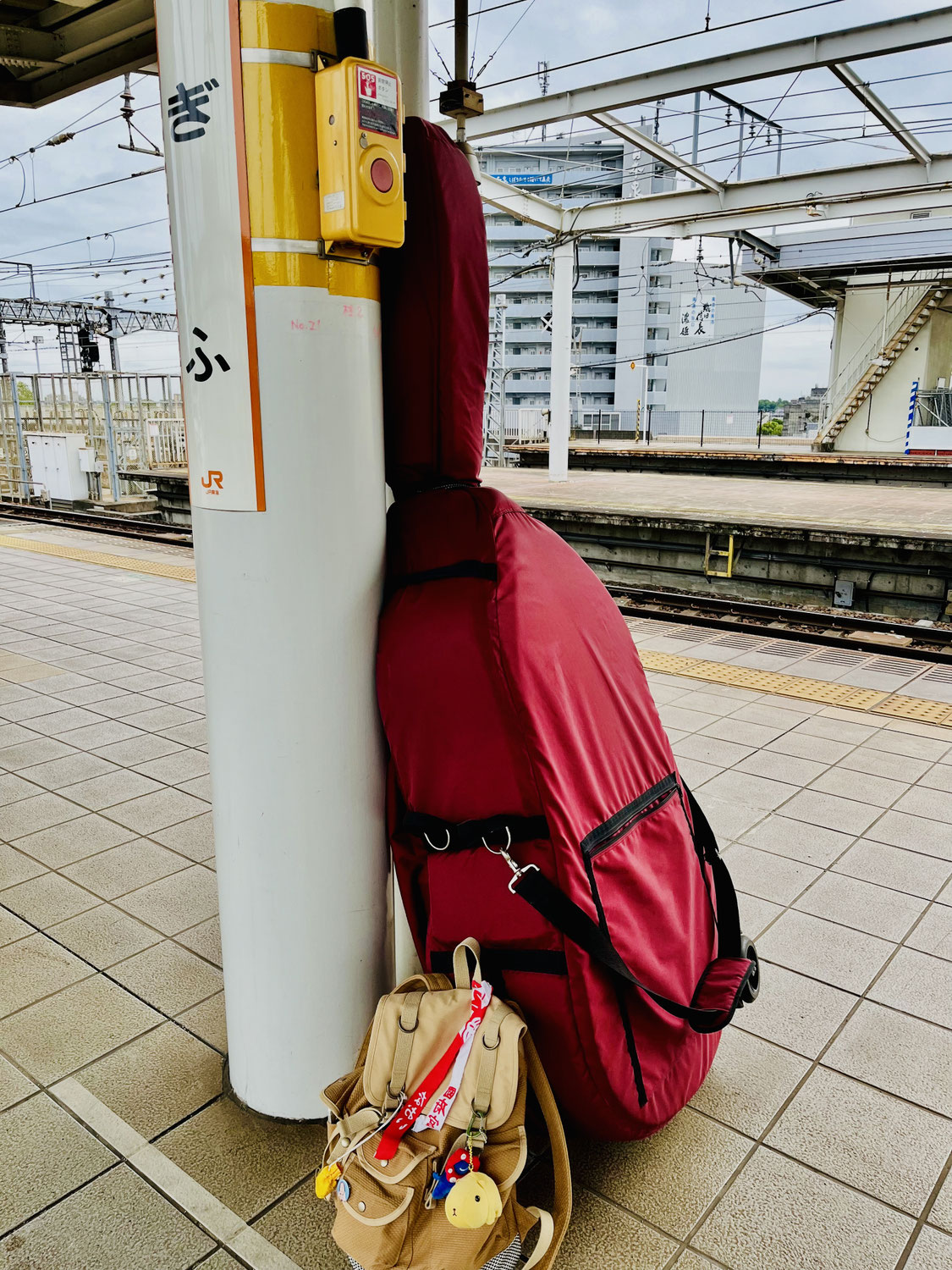 2025年11月スケジュール