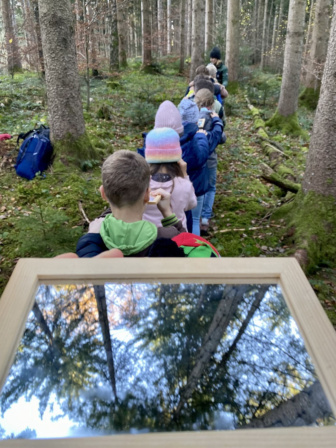 Unterrichtsgang Wald der beiden 3.Klassen