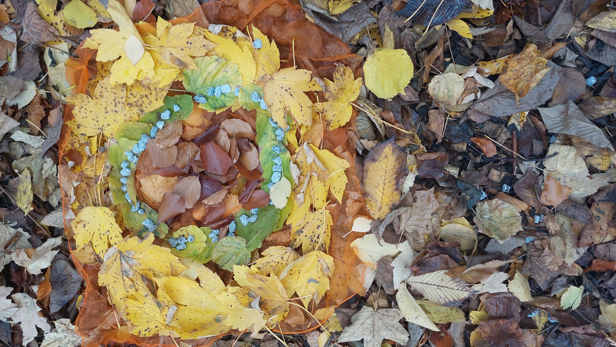 Herbstmandalas im grünen Klassenzimmer