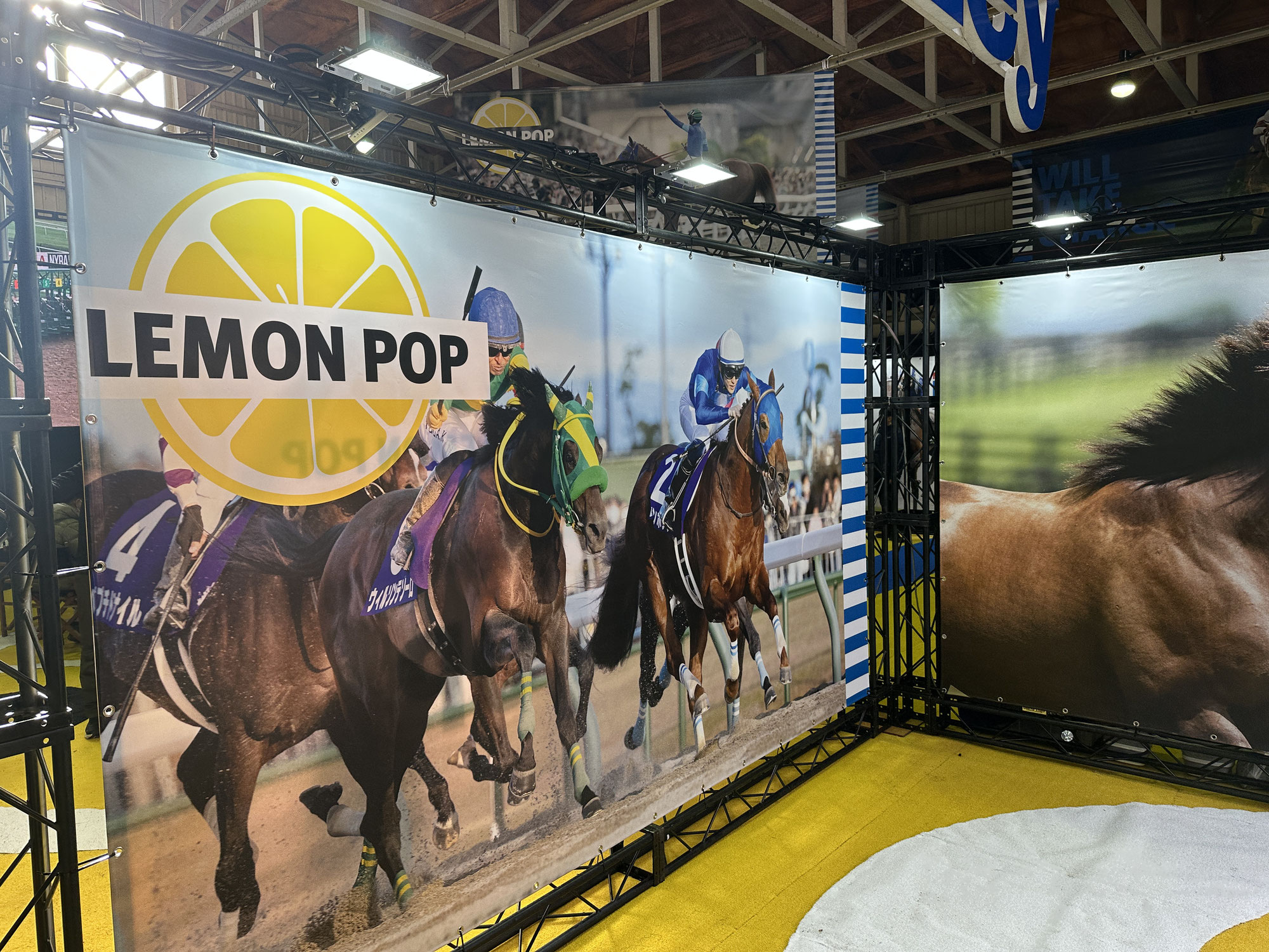 ダーレー・ジャパンの種牡馬展示会に行ってきました！