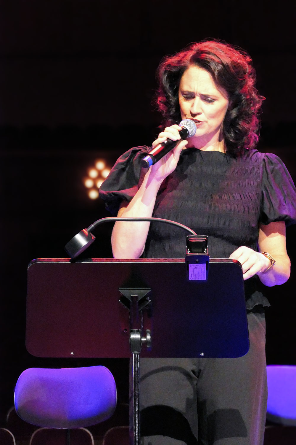 Pressebericht: Next to normal / Autorin: Jana Diener / Foto © Jana Diener