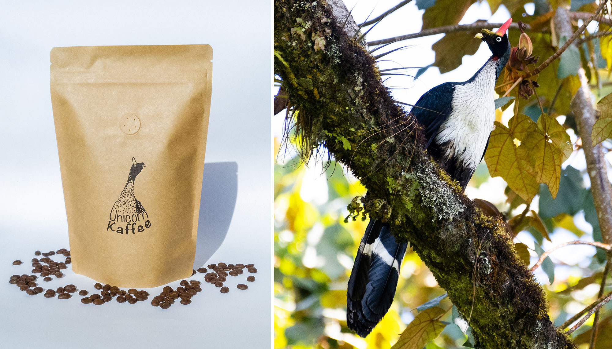 Vogelfreundlich & exquisit: Unicorn Kaffee