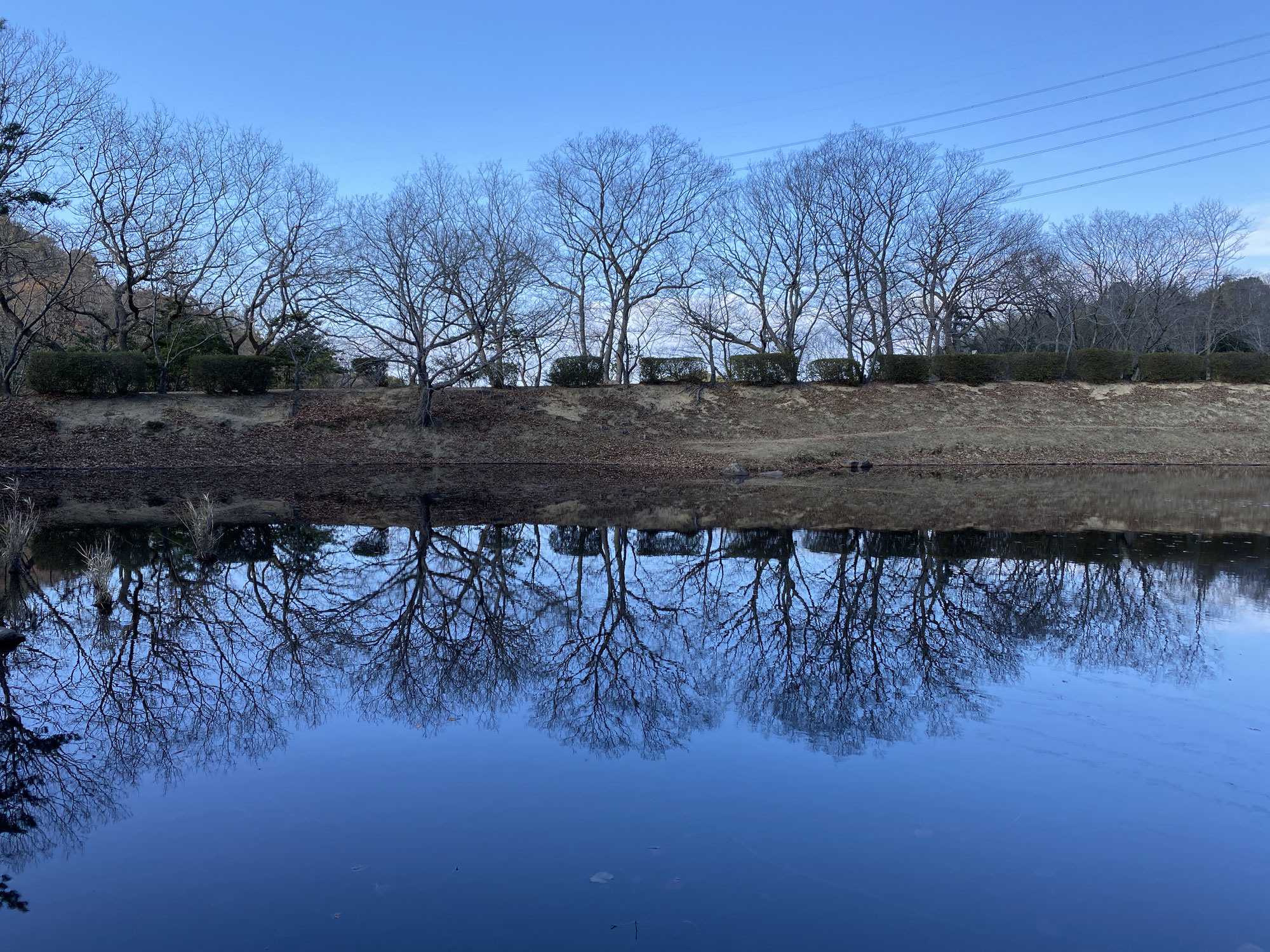 山の湖畔で