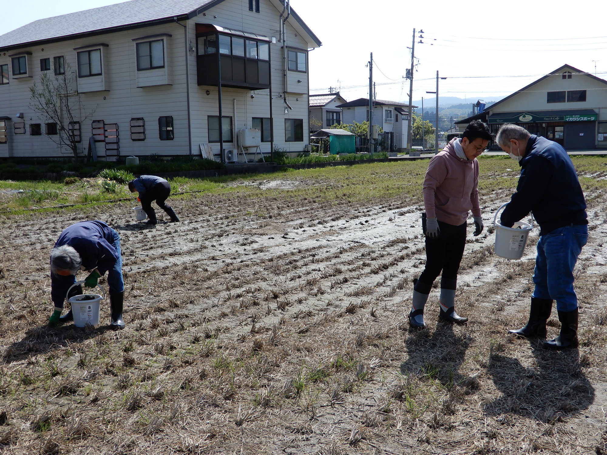 田んぼの石拾い活動に取り組みました！