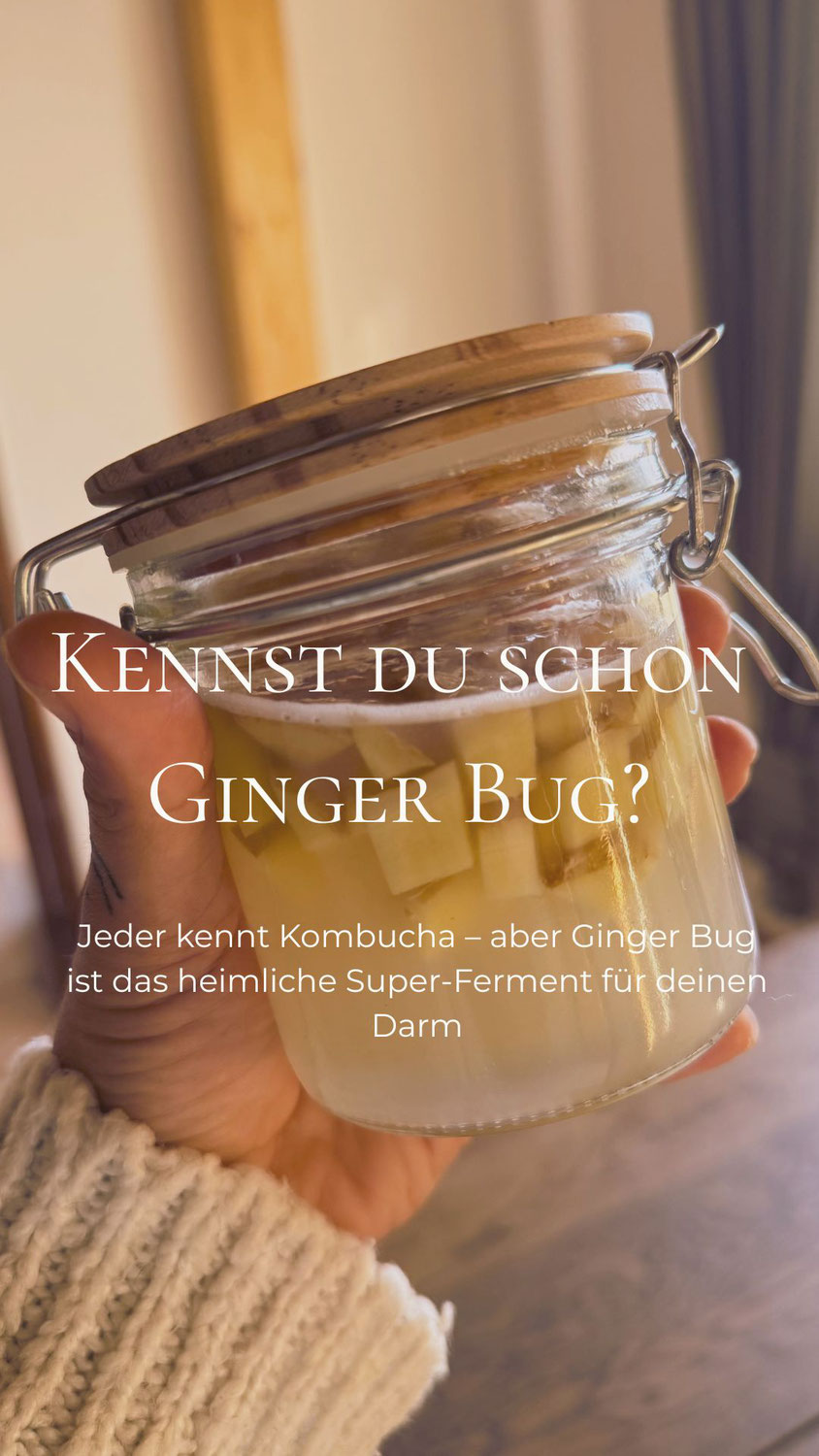 Ginger Bug: Der sprudelnde Ferment für deine Darmgesundheit