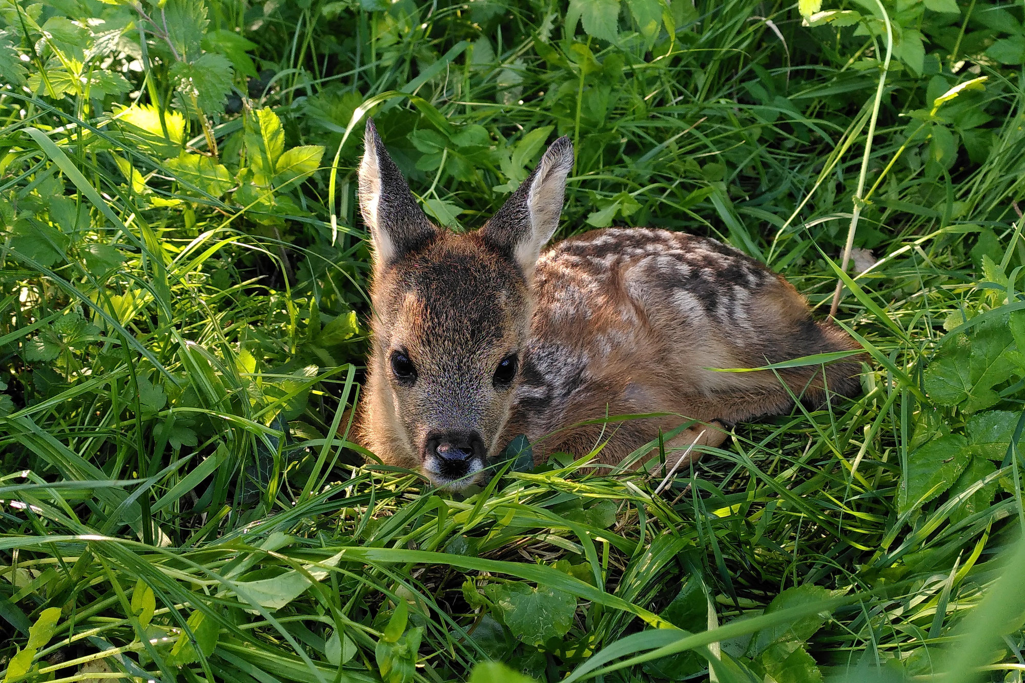 Saison 2025 - Eine anstrengende aber tolle Zeit